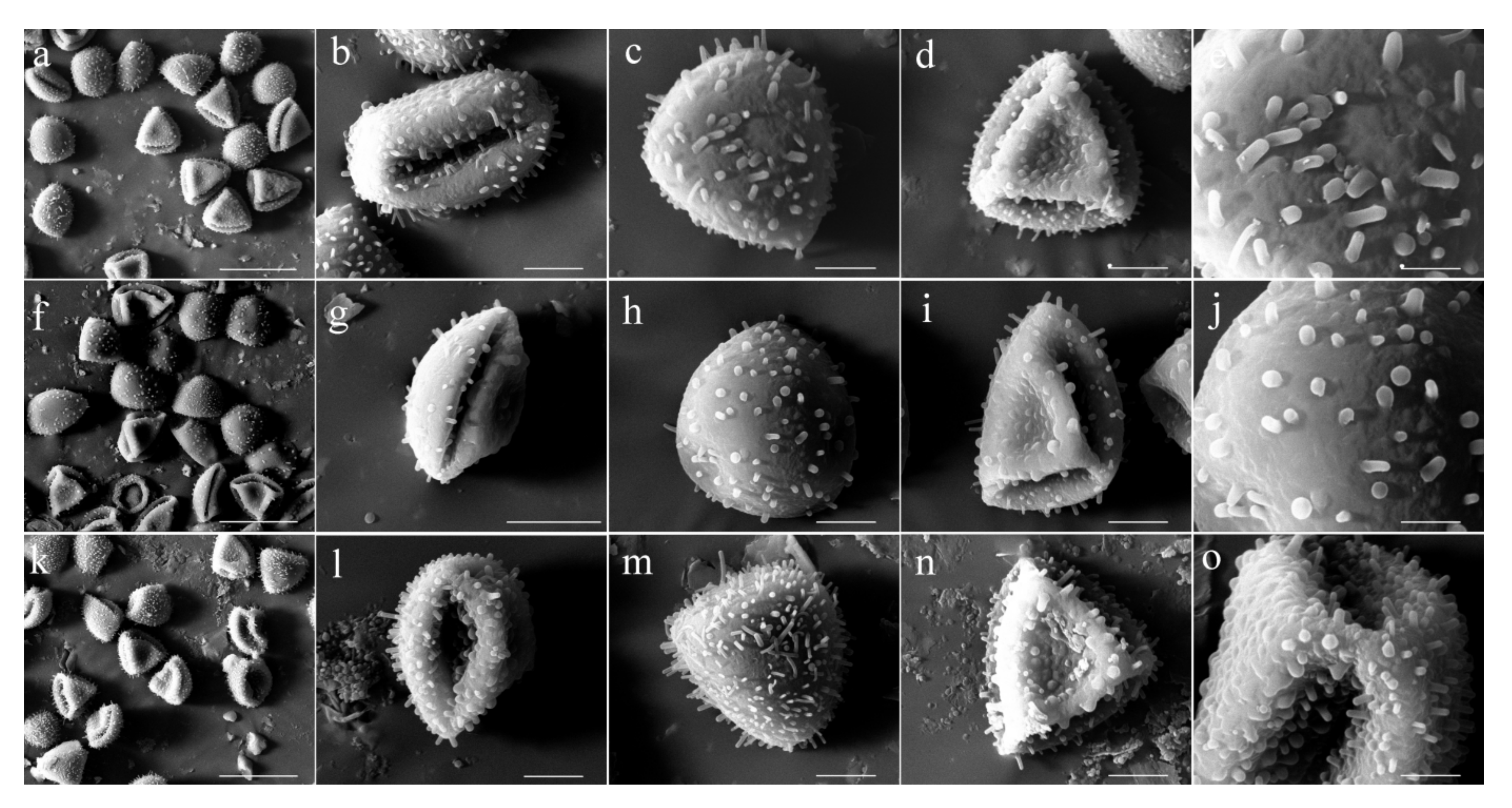 Diversity 14 00092 g002