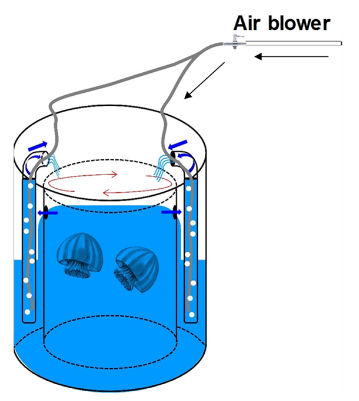 Diversity 14 00103 g001