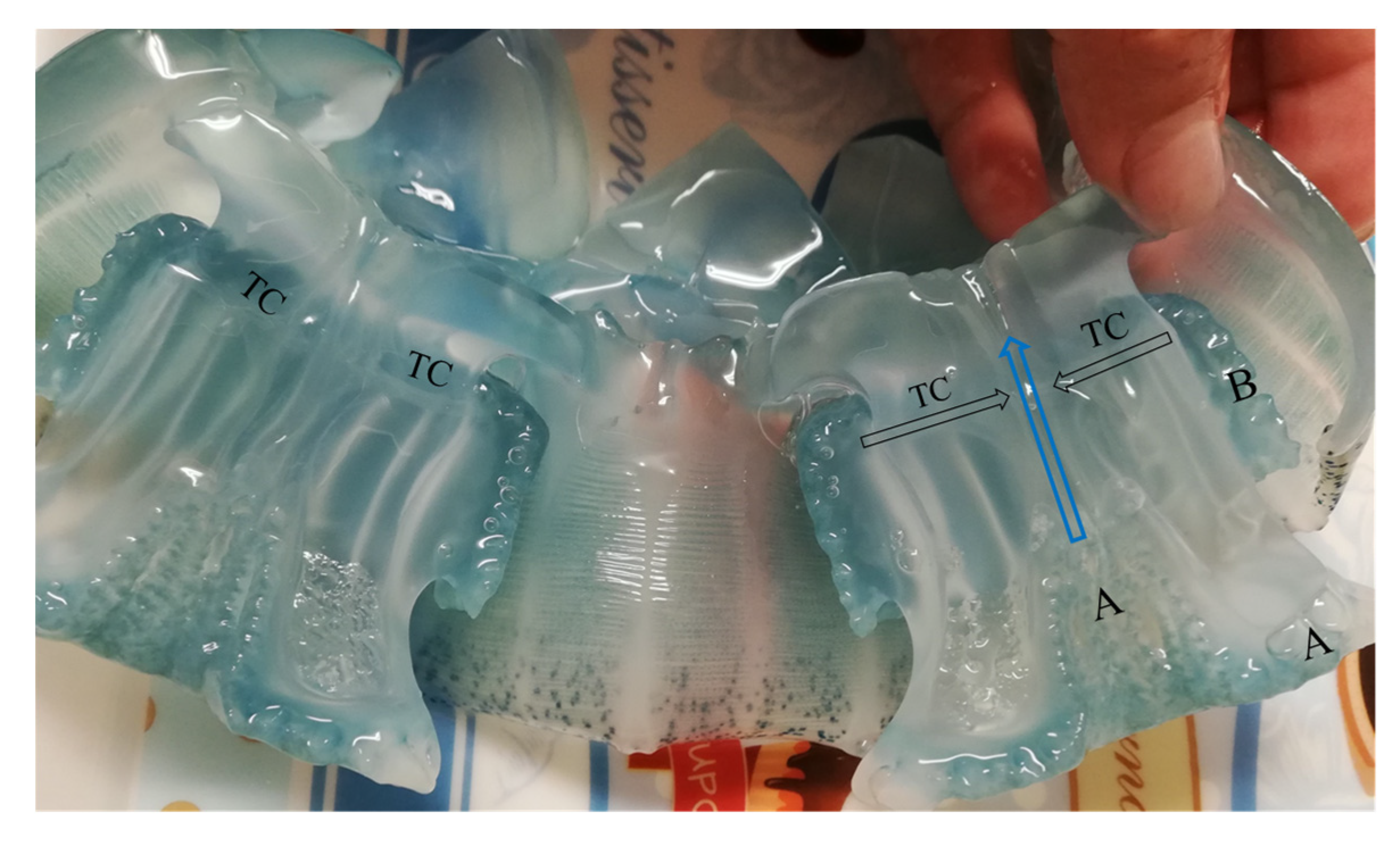 Diversity 14 00103 g003