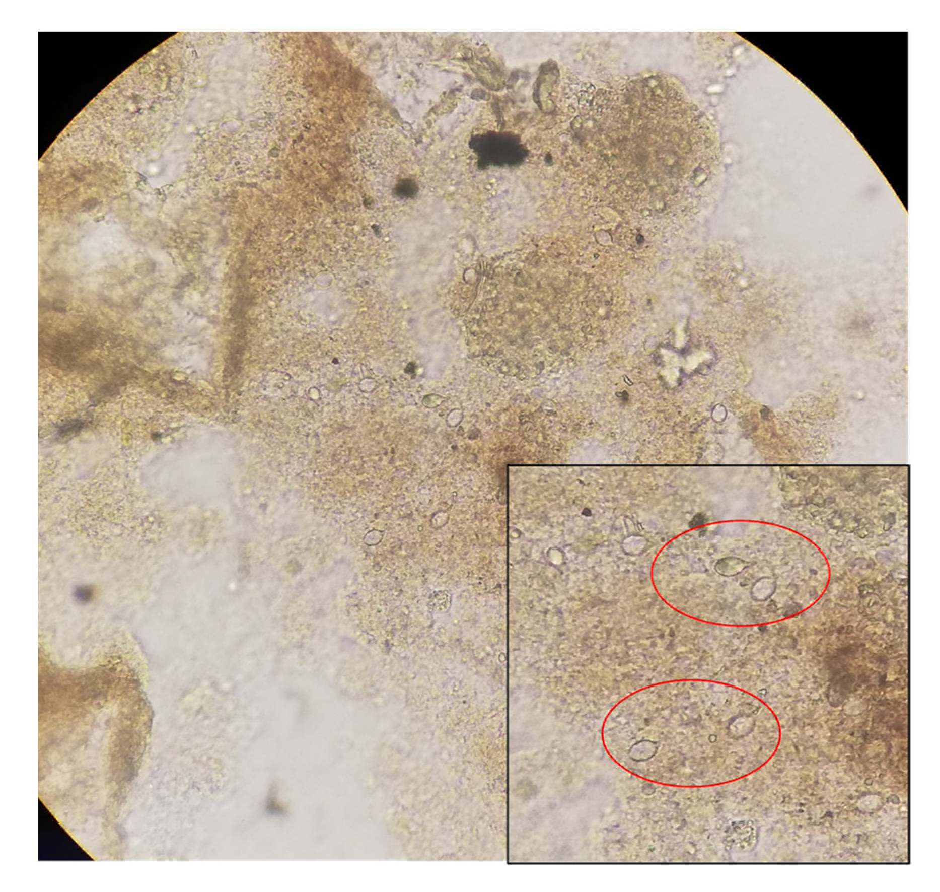 Diversity 14 00103 g007