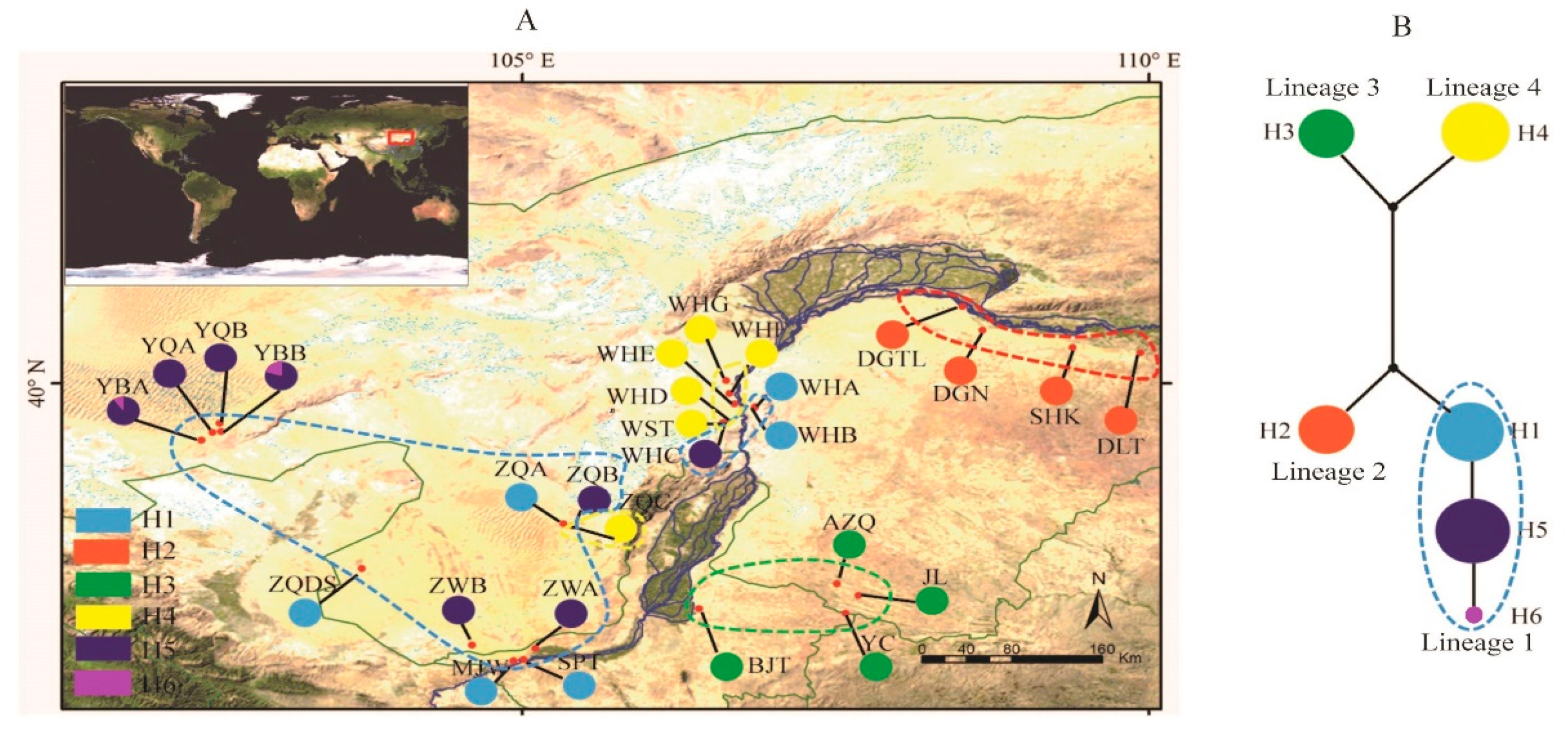 Diversity 14 00104 g001