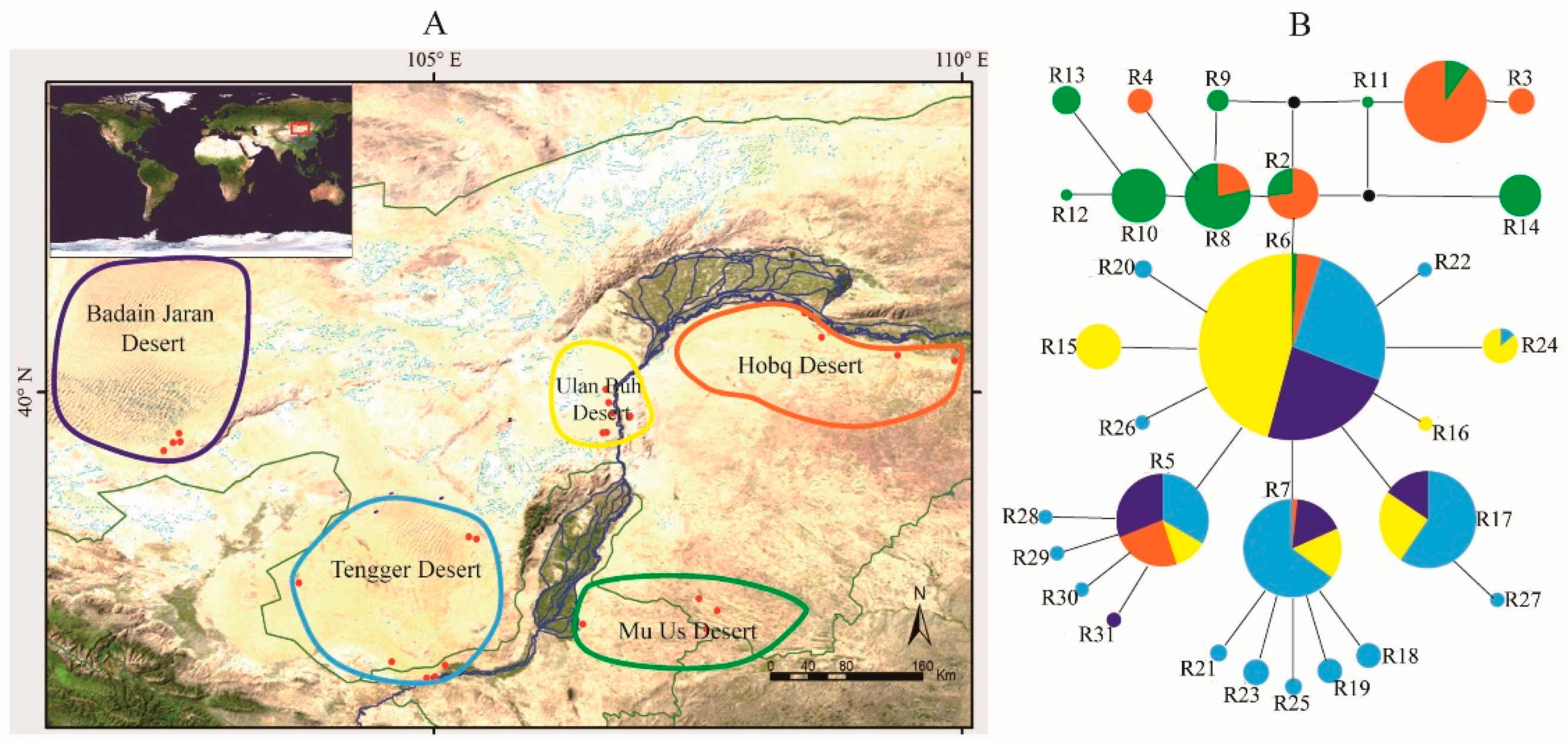 Diversity 14 00104 g003