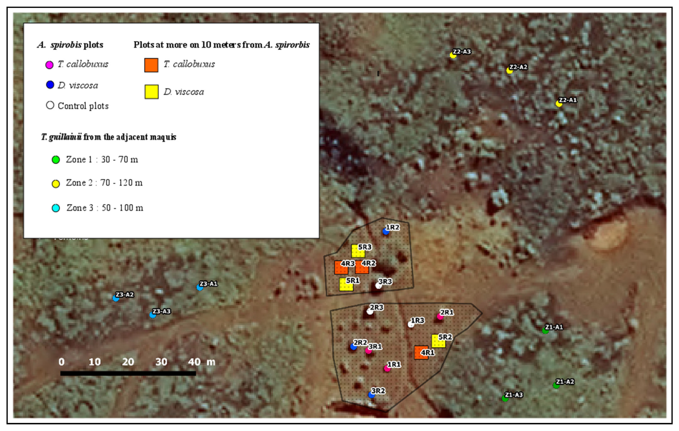 Diversity 14 00107 g001