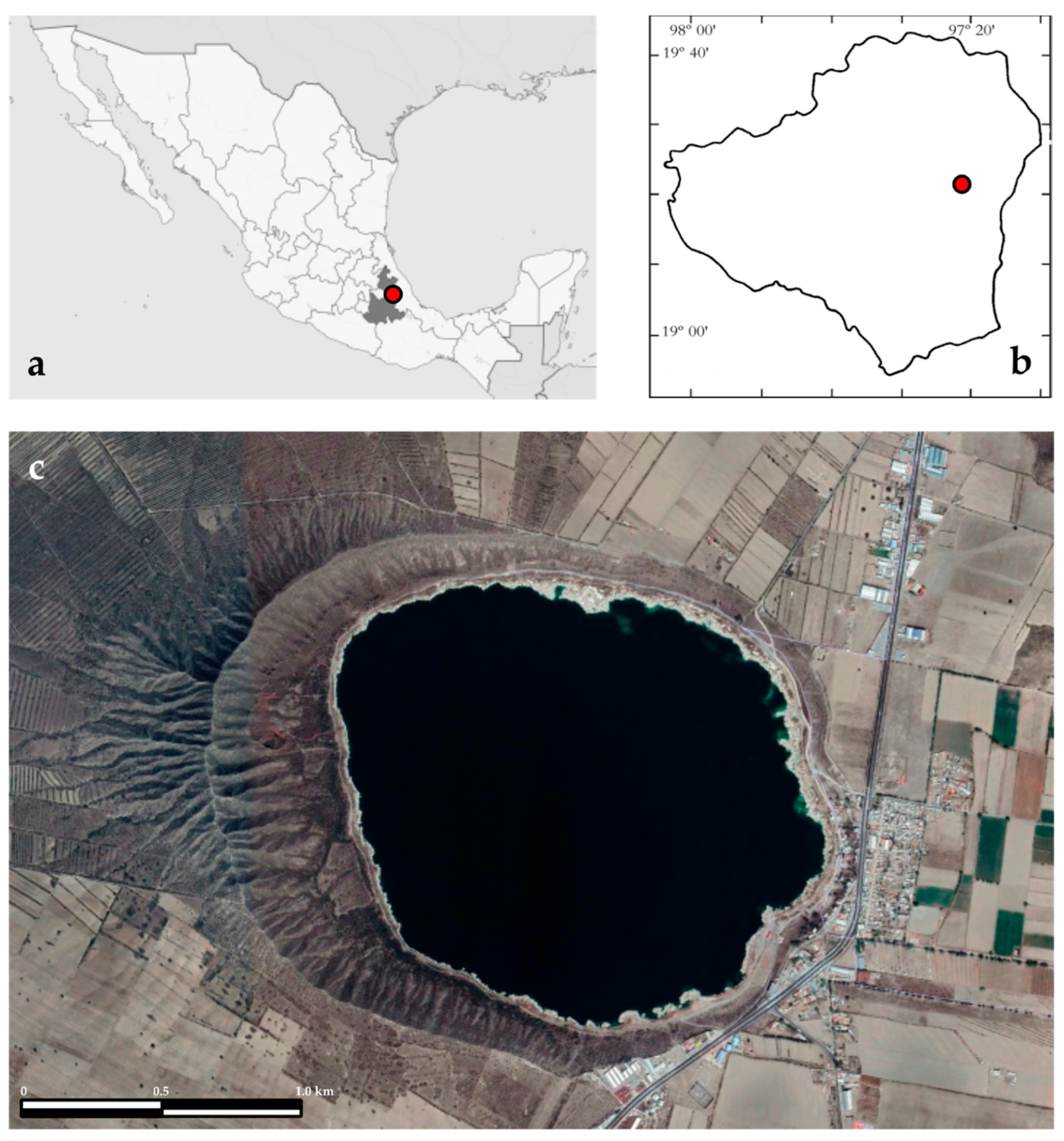 Diversity 14 00113 g001