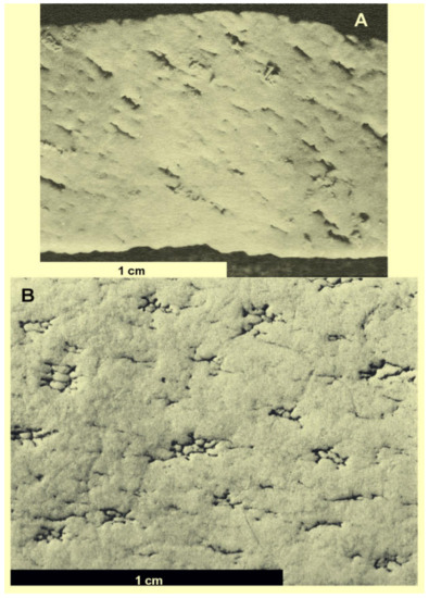 Diversity 14 00123 g003