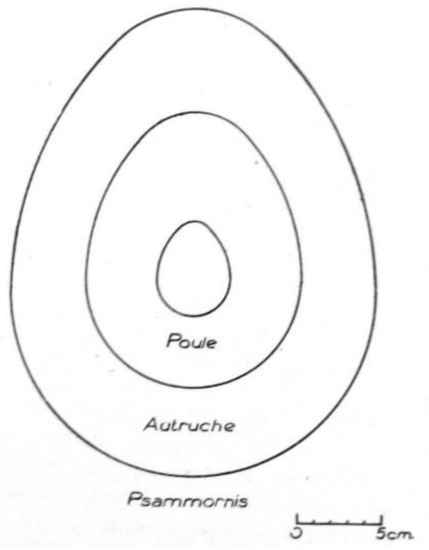 Diversity 14 00123 g004