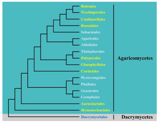 Diversity 14 00131 g001