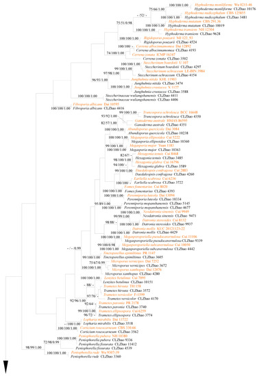 Diversity 14 00131 g002a Diversity 14 00131 g002a