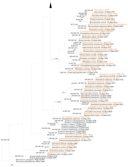 Diversity 14 00131 g002b
