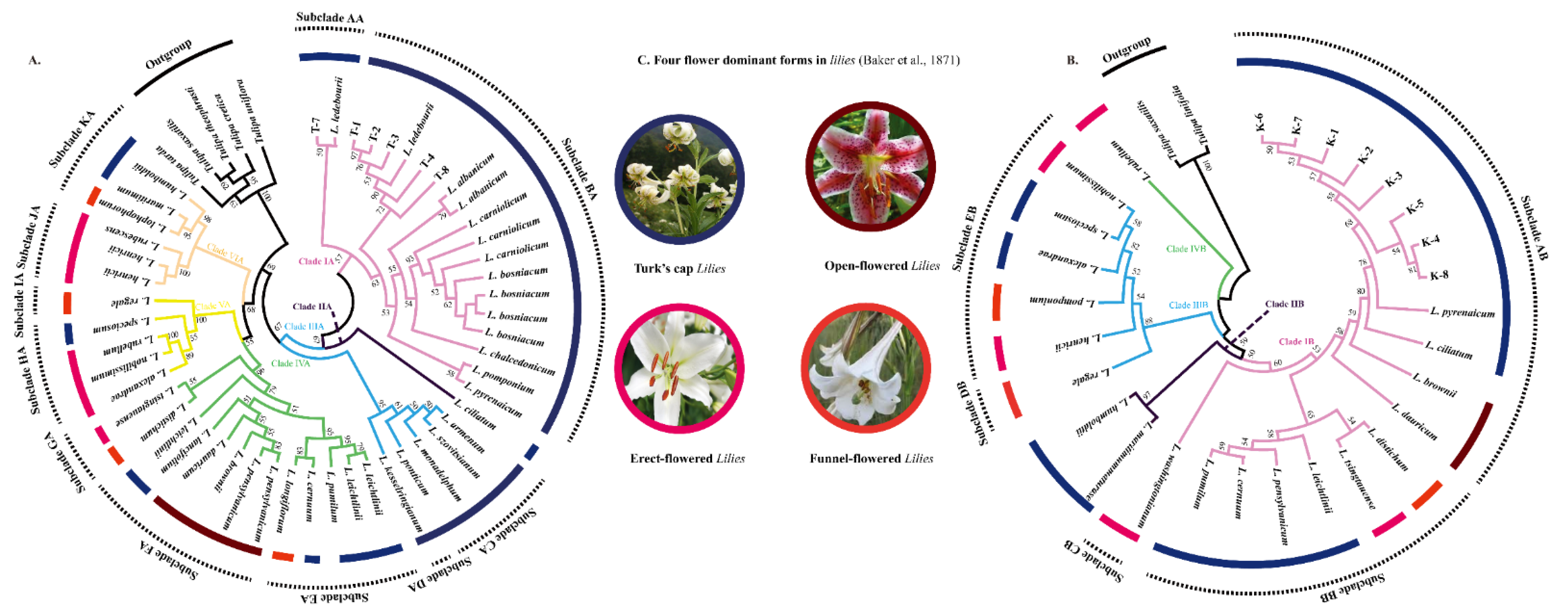 Diversity 14 00137 g002