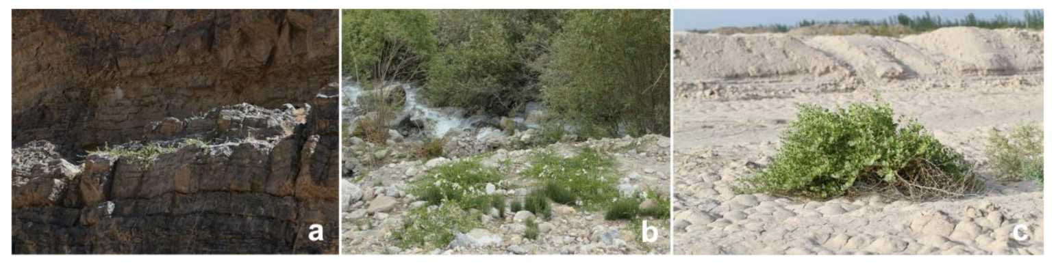 Diversity 14 00146 g001