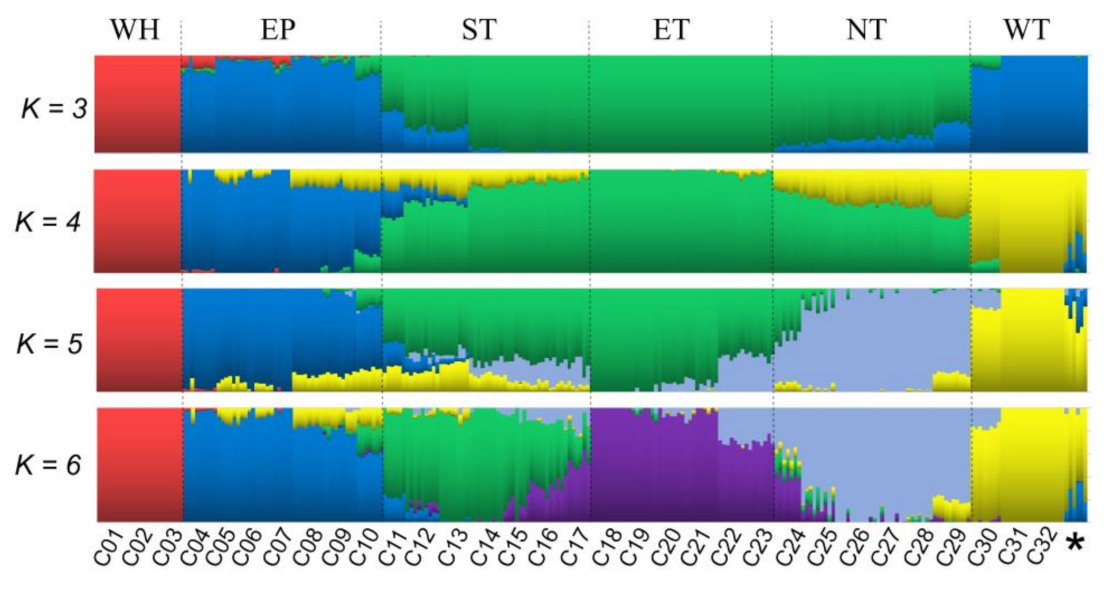 Diversity 14 00146 g003