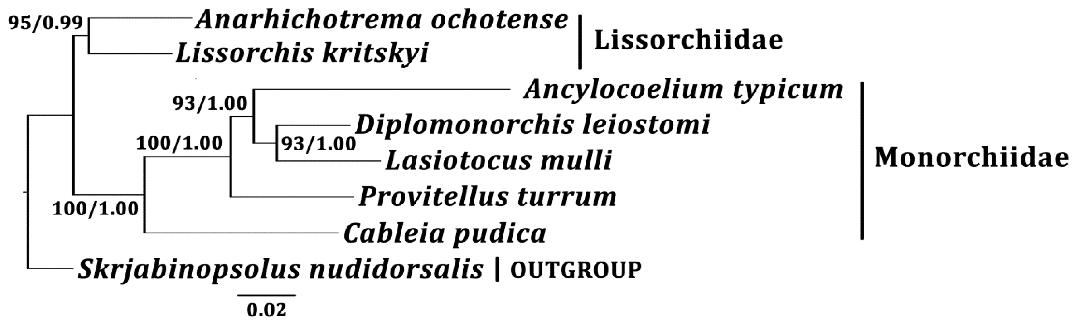 Diversity 14 00147 g002