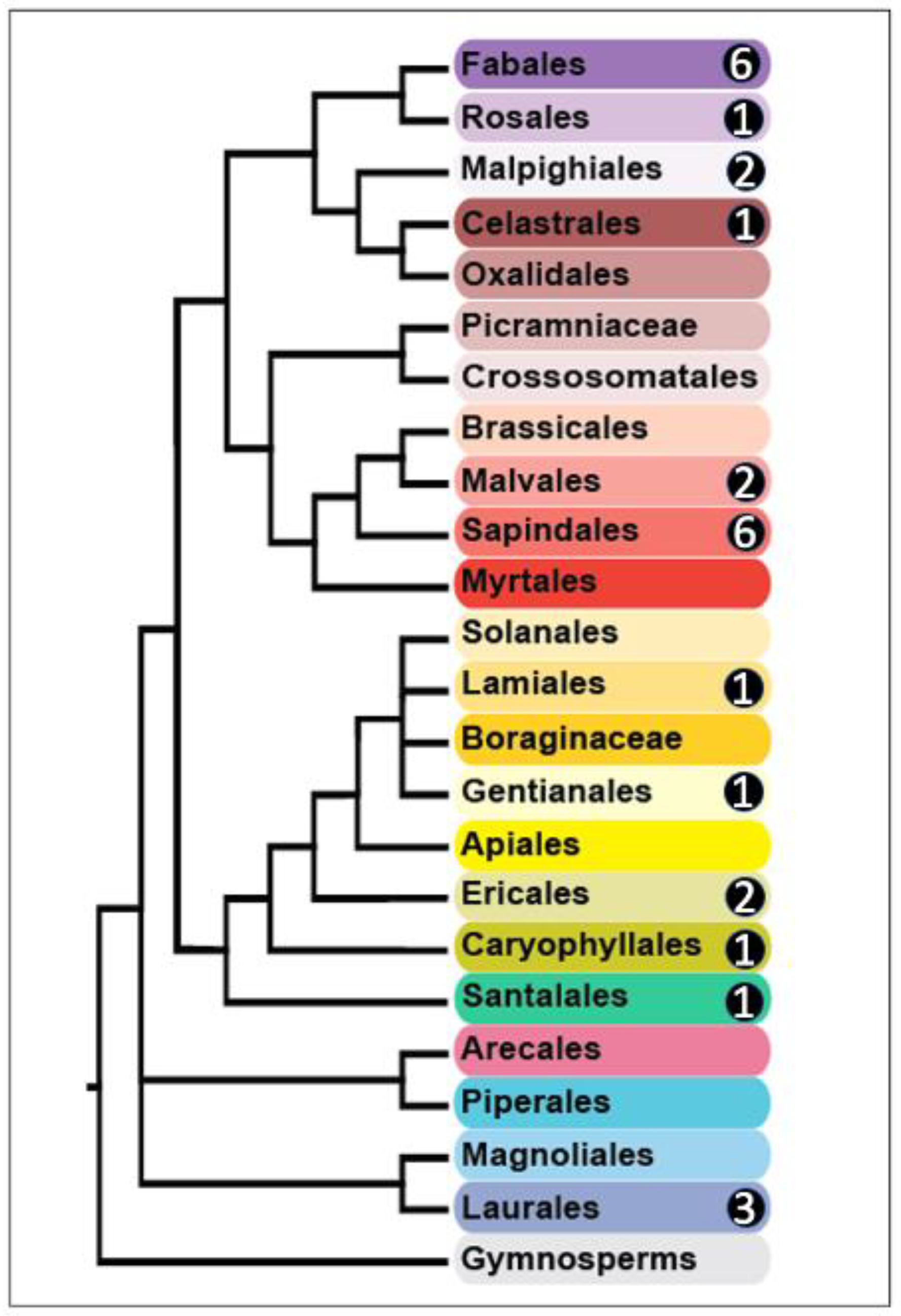 Diversity 14 00152 g003
