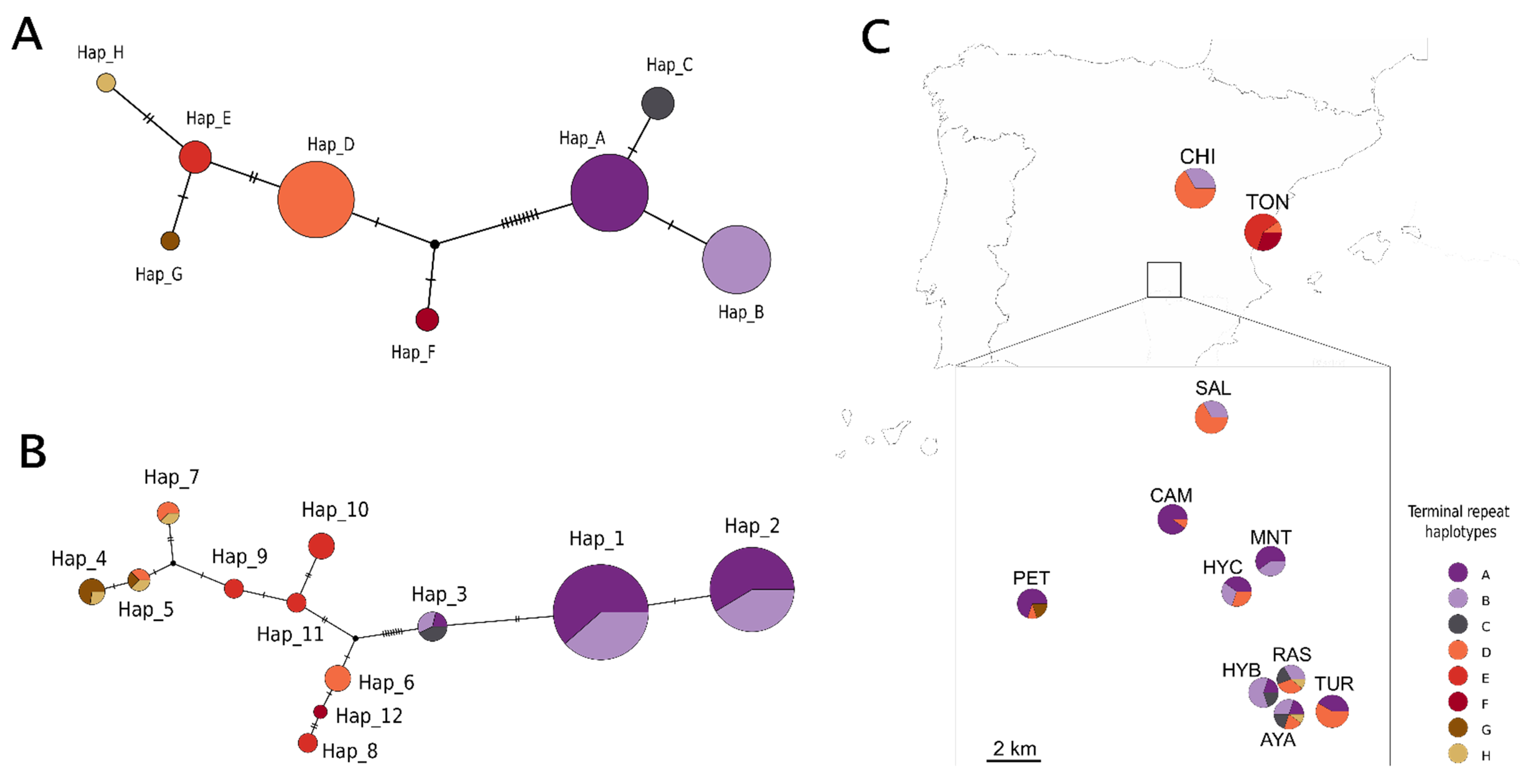 Diversity 14 00155 g003