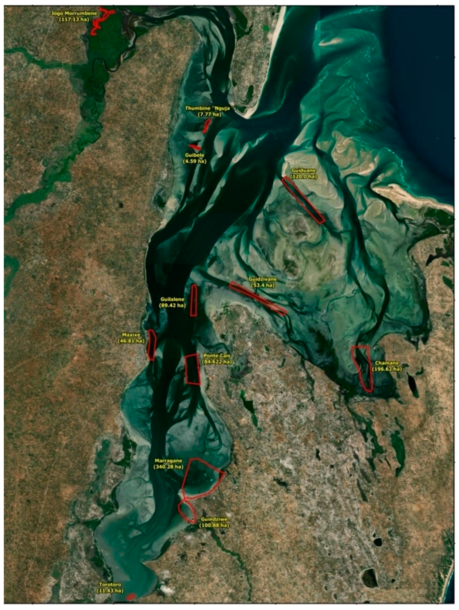 Diversity 14 00170 g005