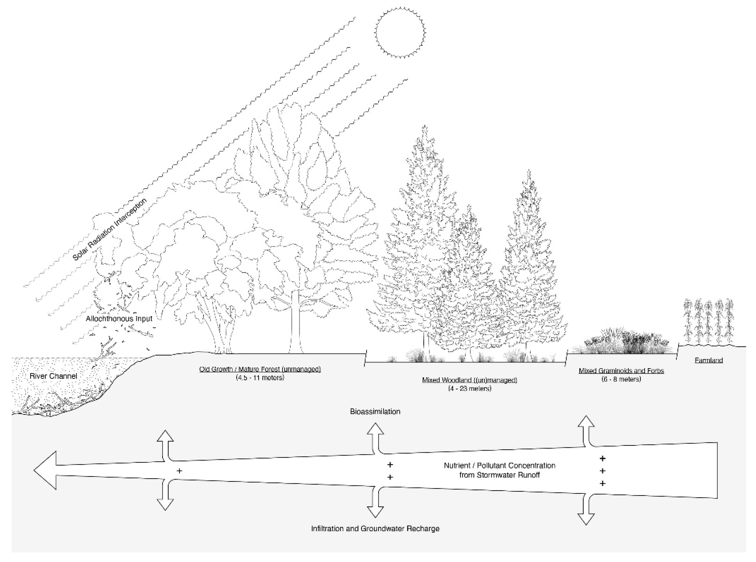 Diversity 14 00172 g001