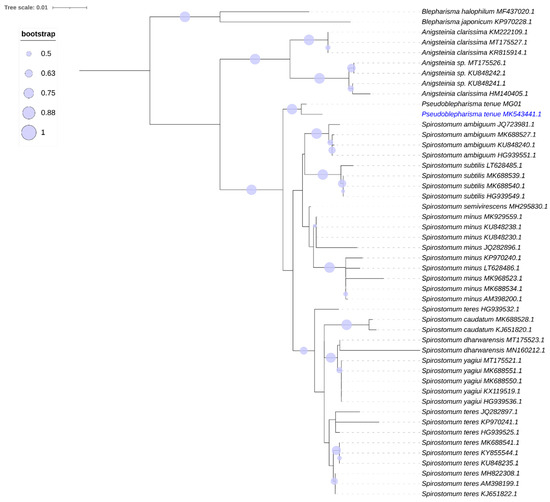Diversity 14 00174 g003 550