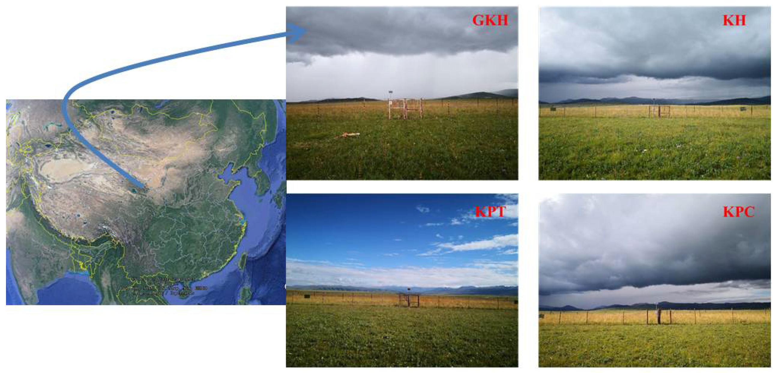 Diversity 14 00183 g001