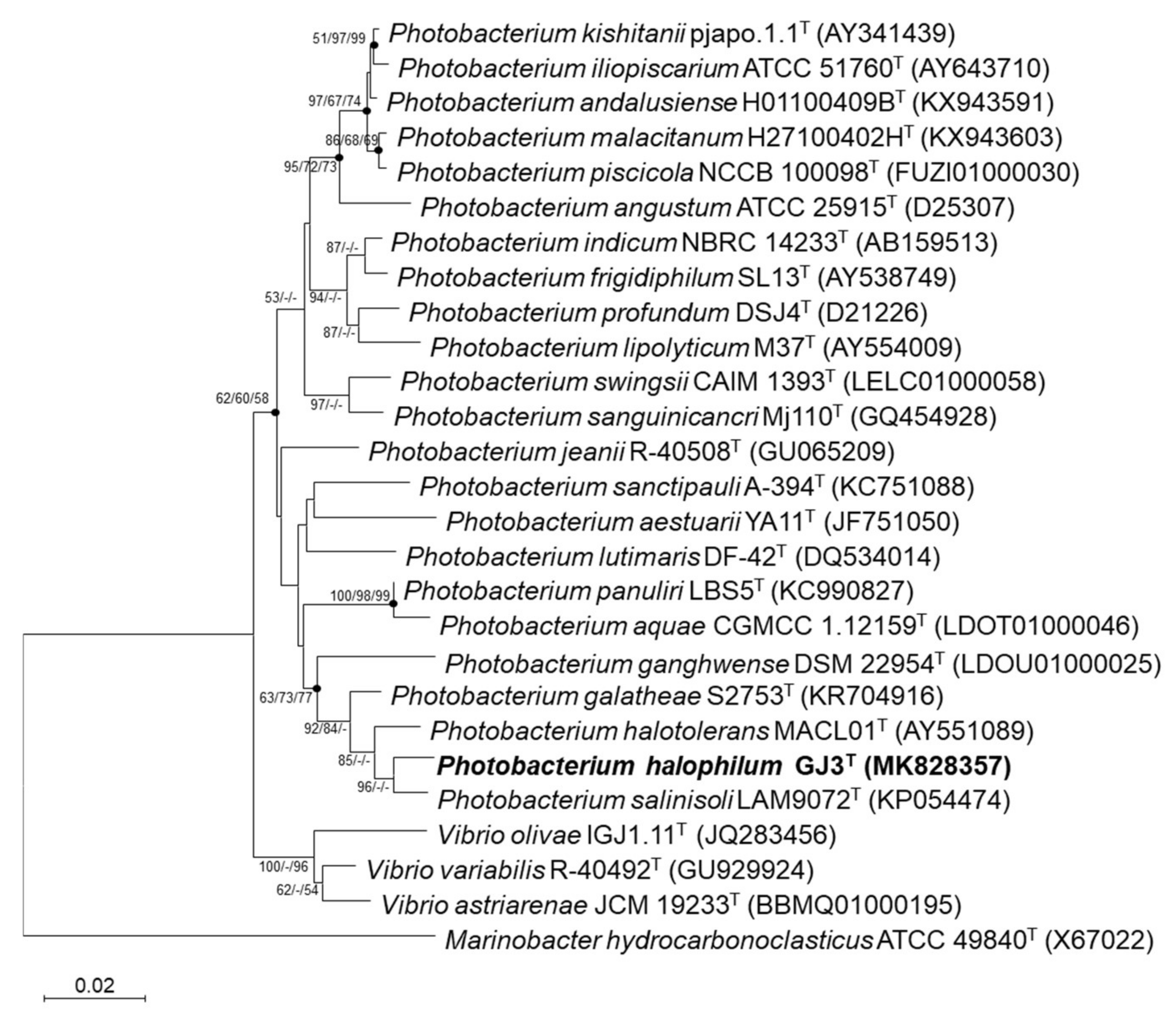 Diversity 14 00188 g001