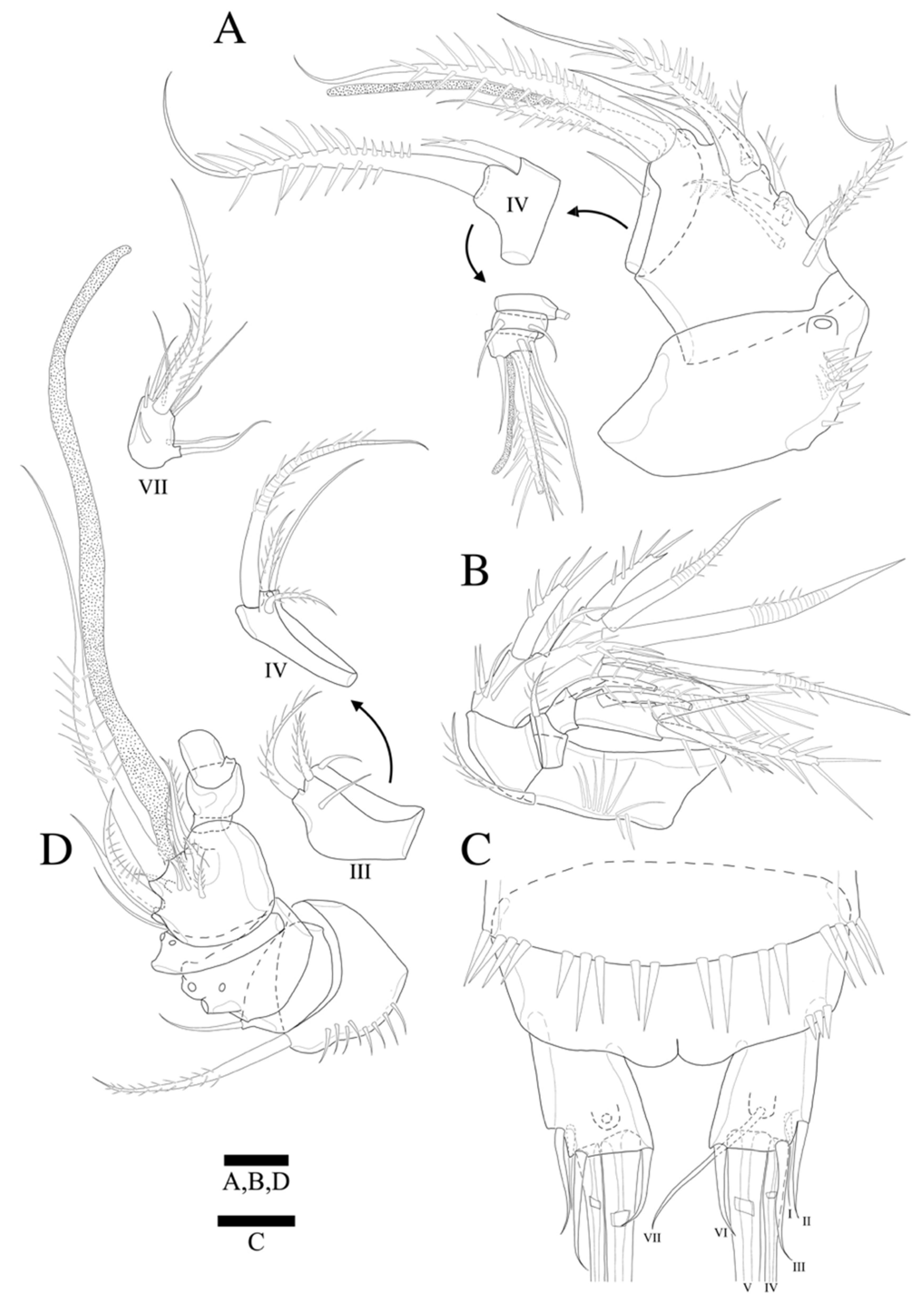 Diversity 14 00198 g007