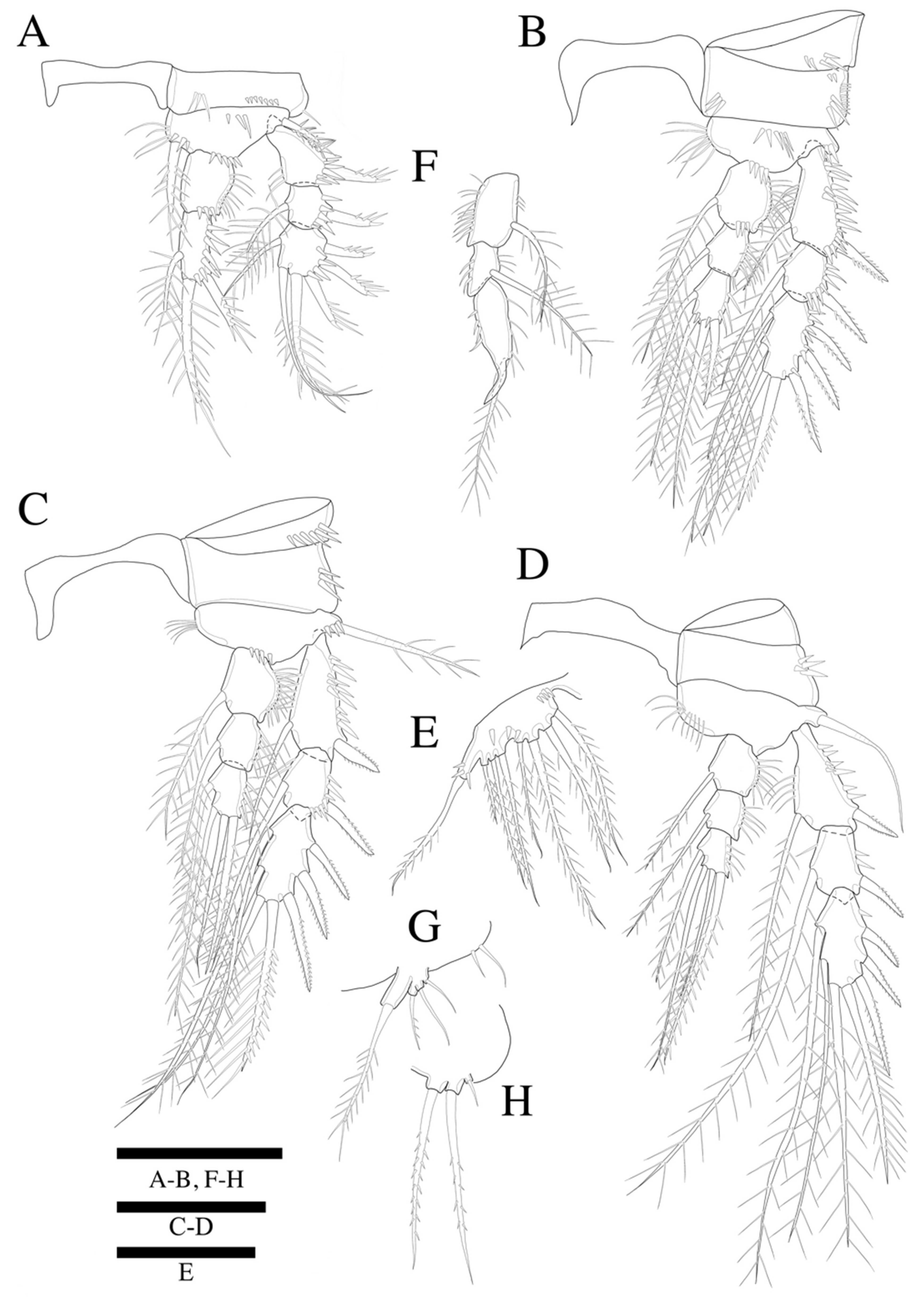 Diversity 14 00198 g008