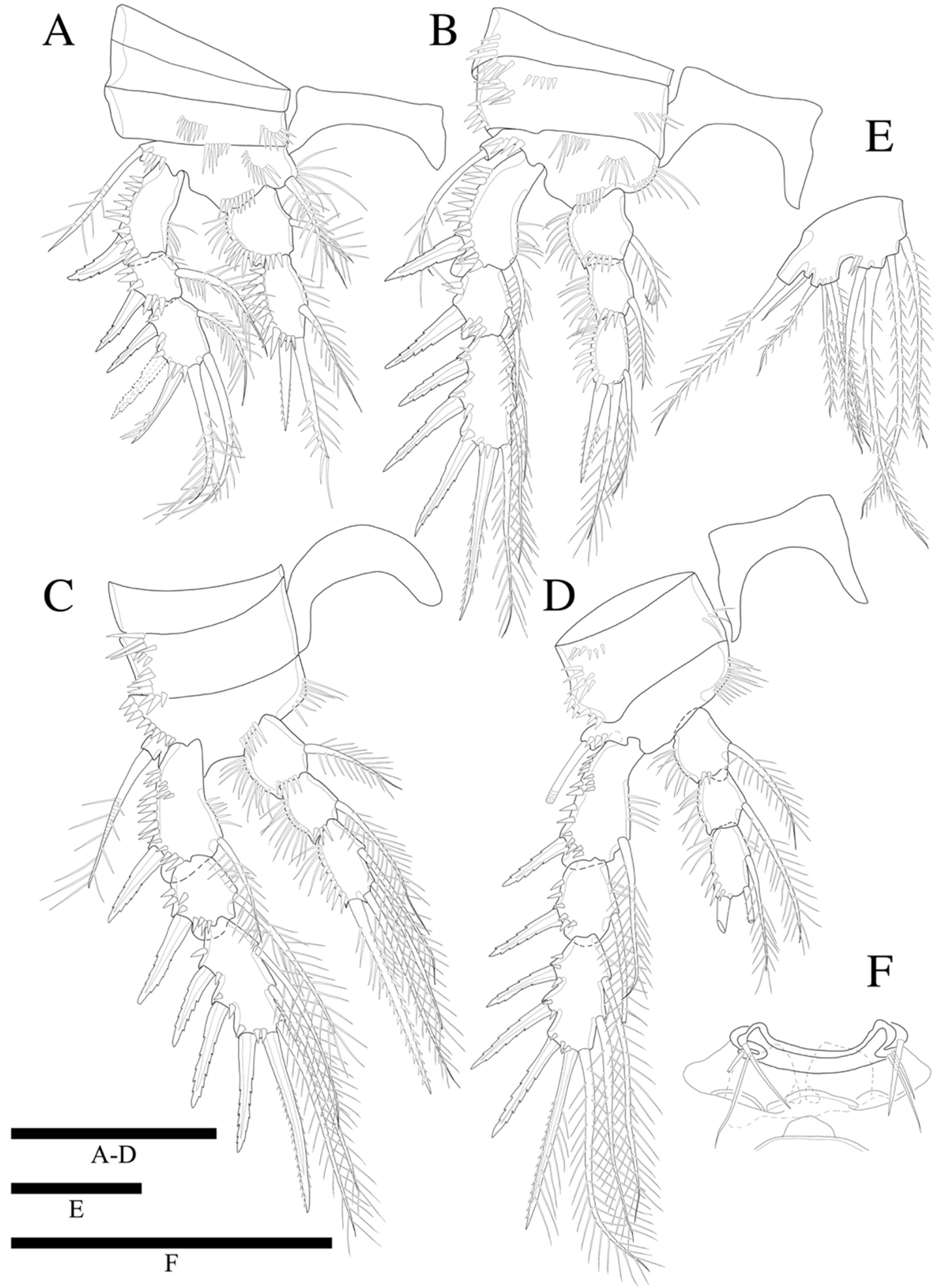 Diversity 14 00198 g010