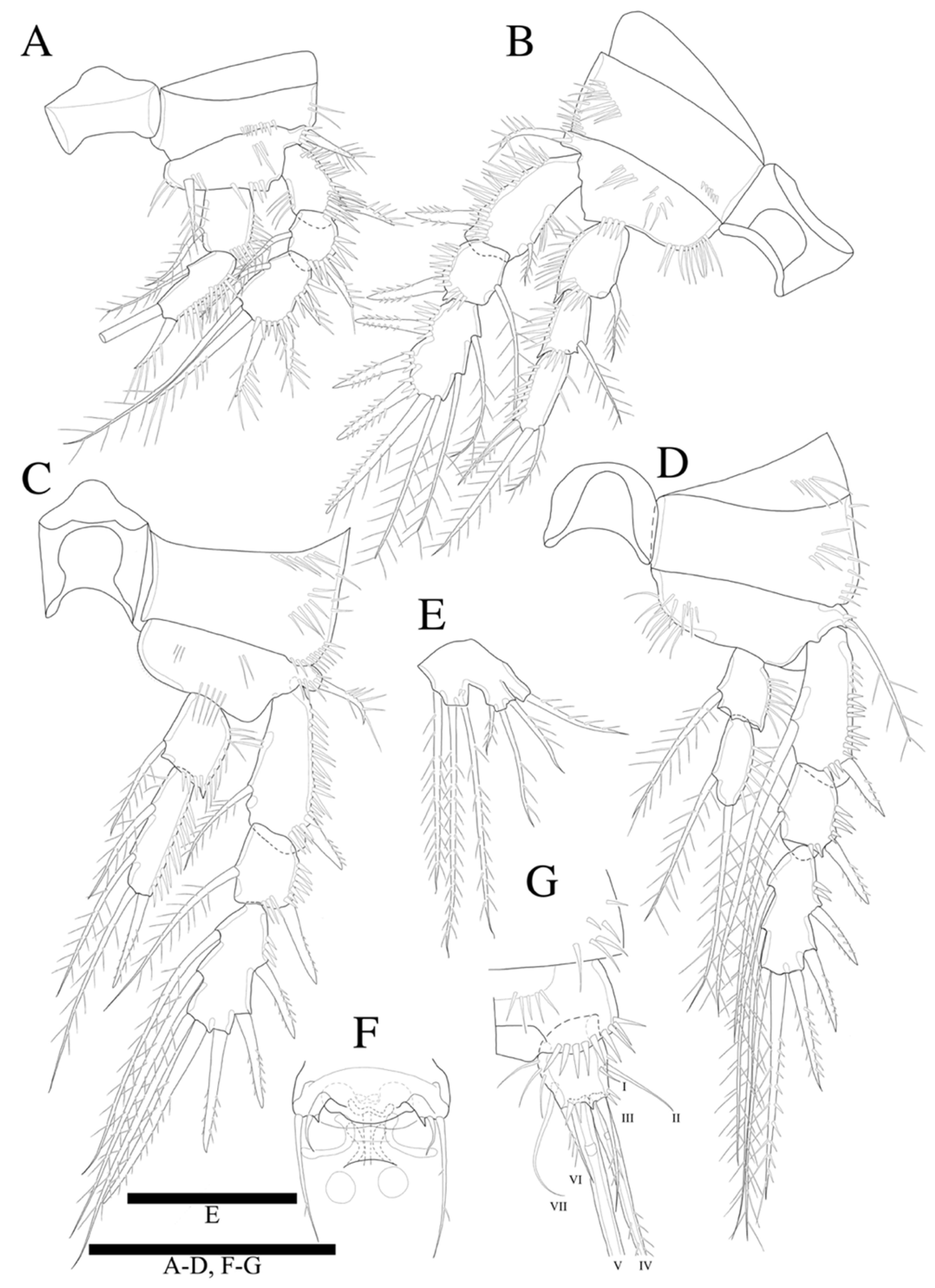 Diversity 14 00198 g012