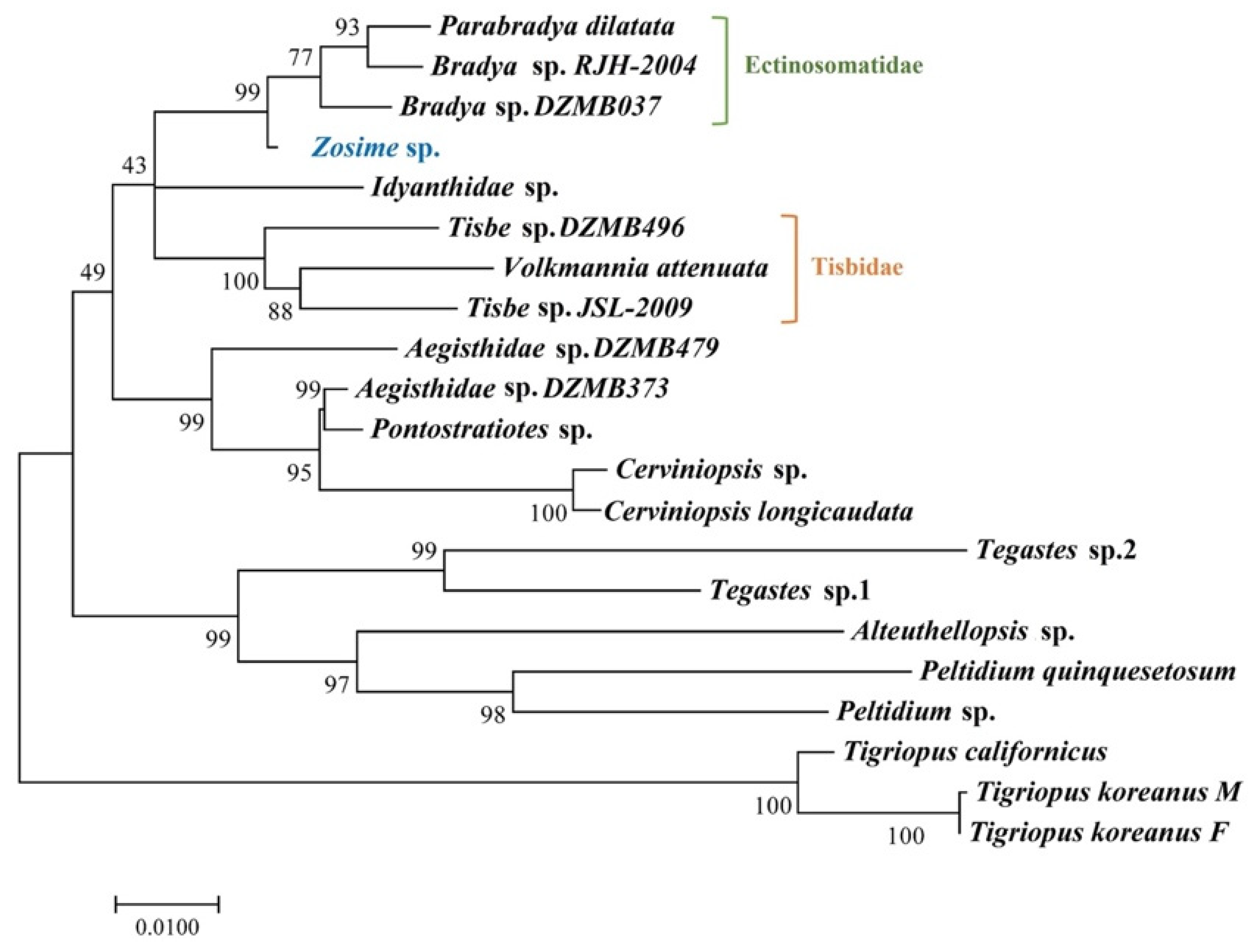 Diversity 14 00198 g013