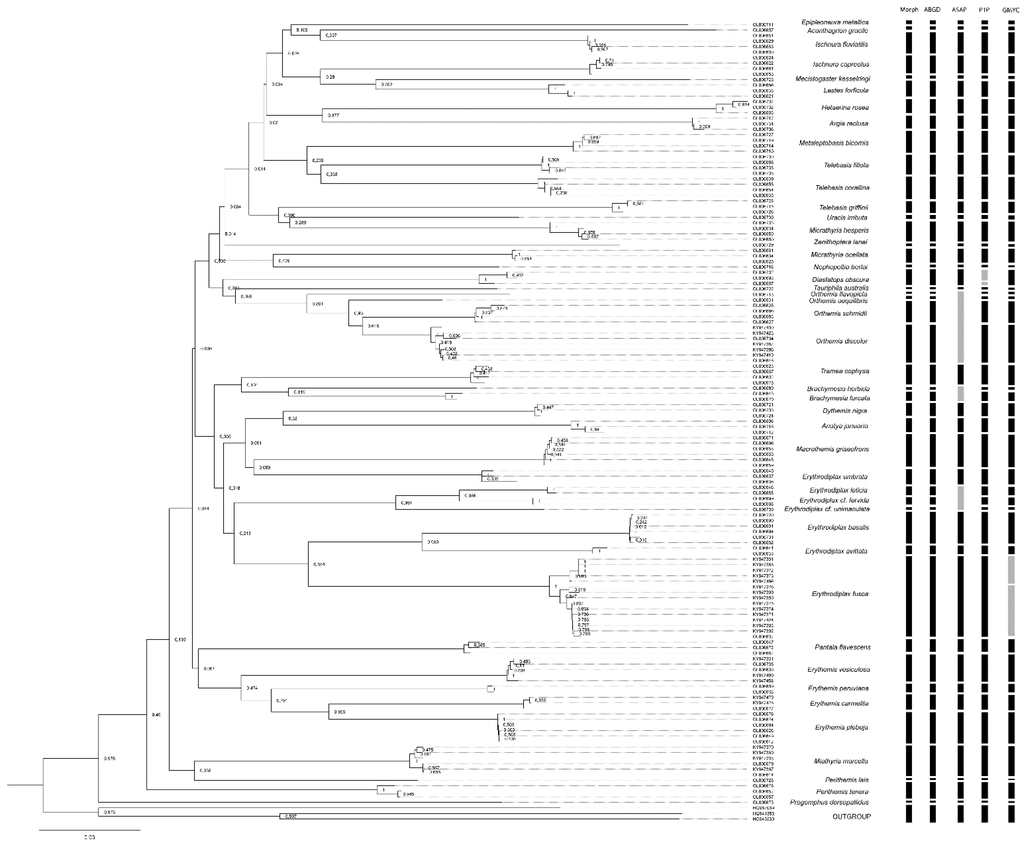 Diversity 14 00203 g004