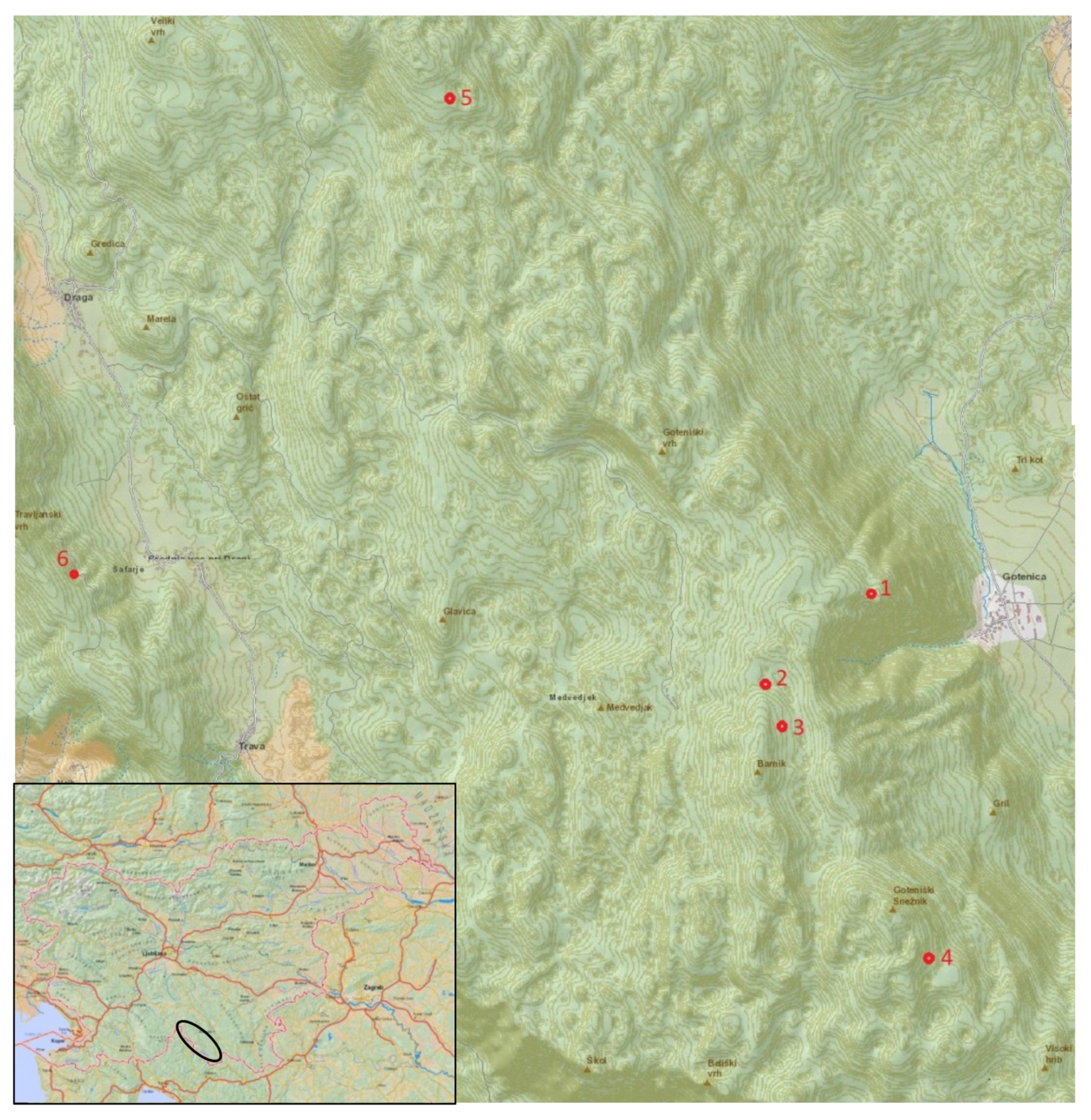 Diversity 14 00209 g001