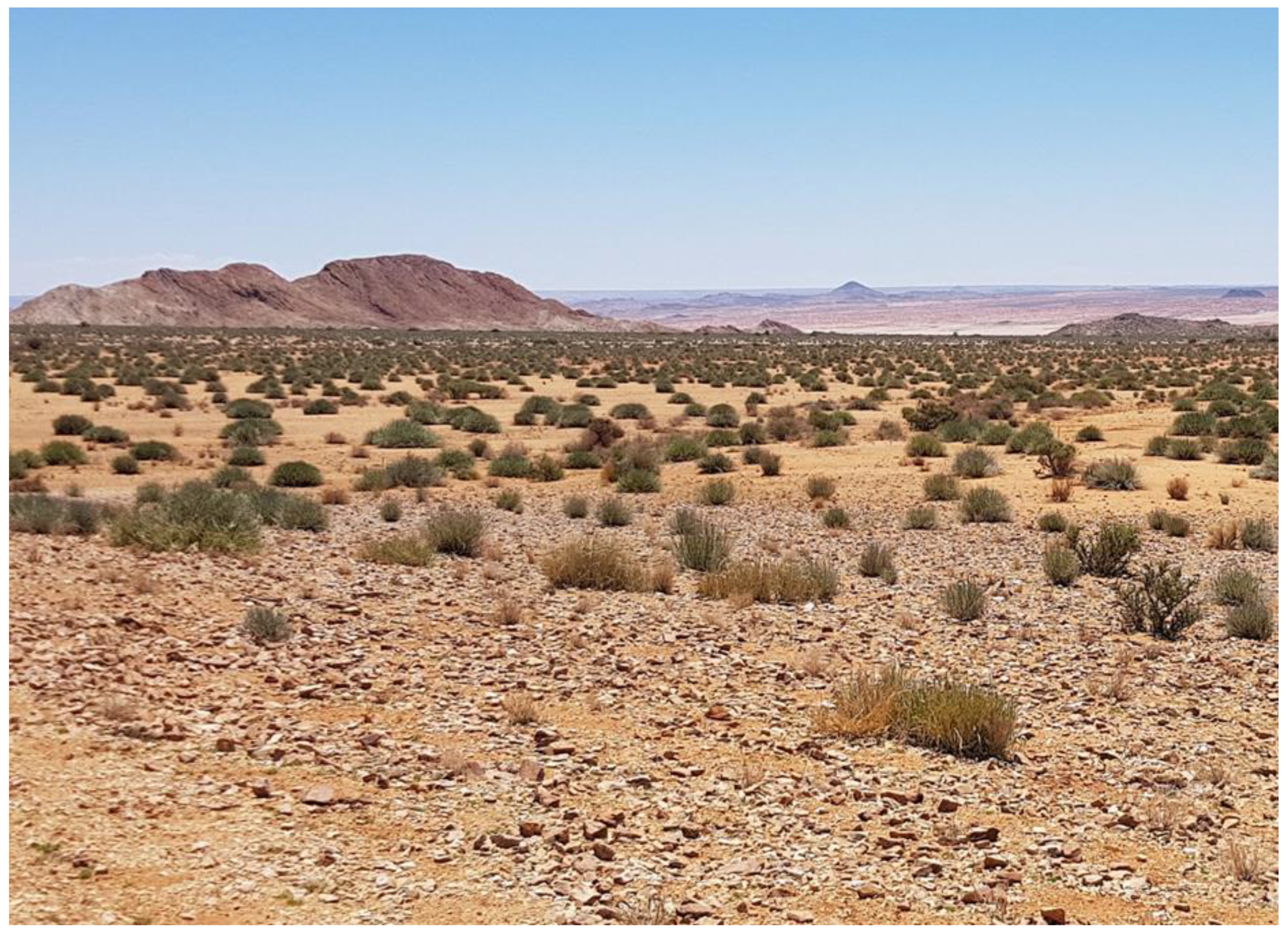 Diversity 14 00248 g003