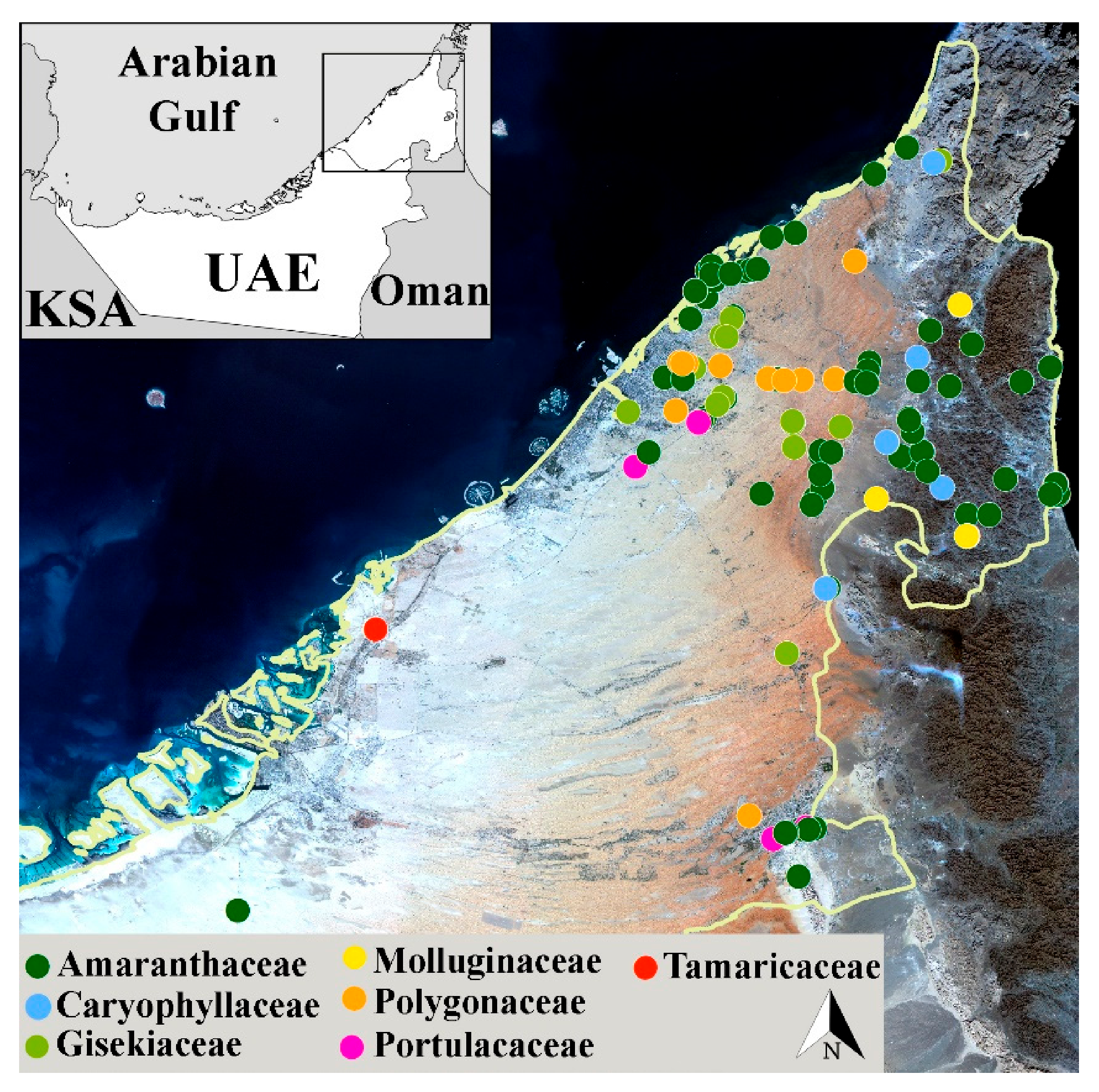 Diversity 14 00262 g001