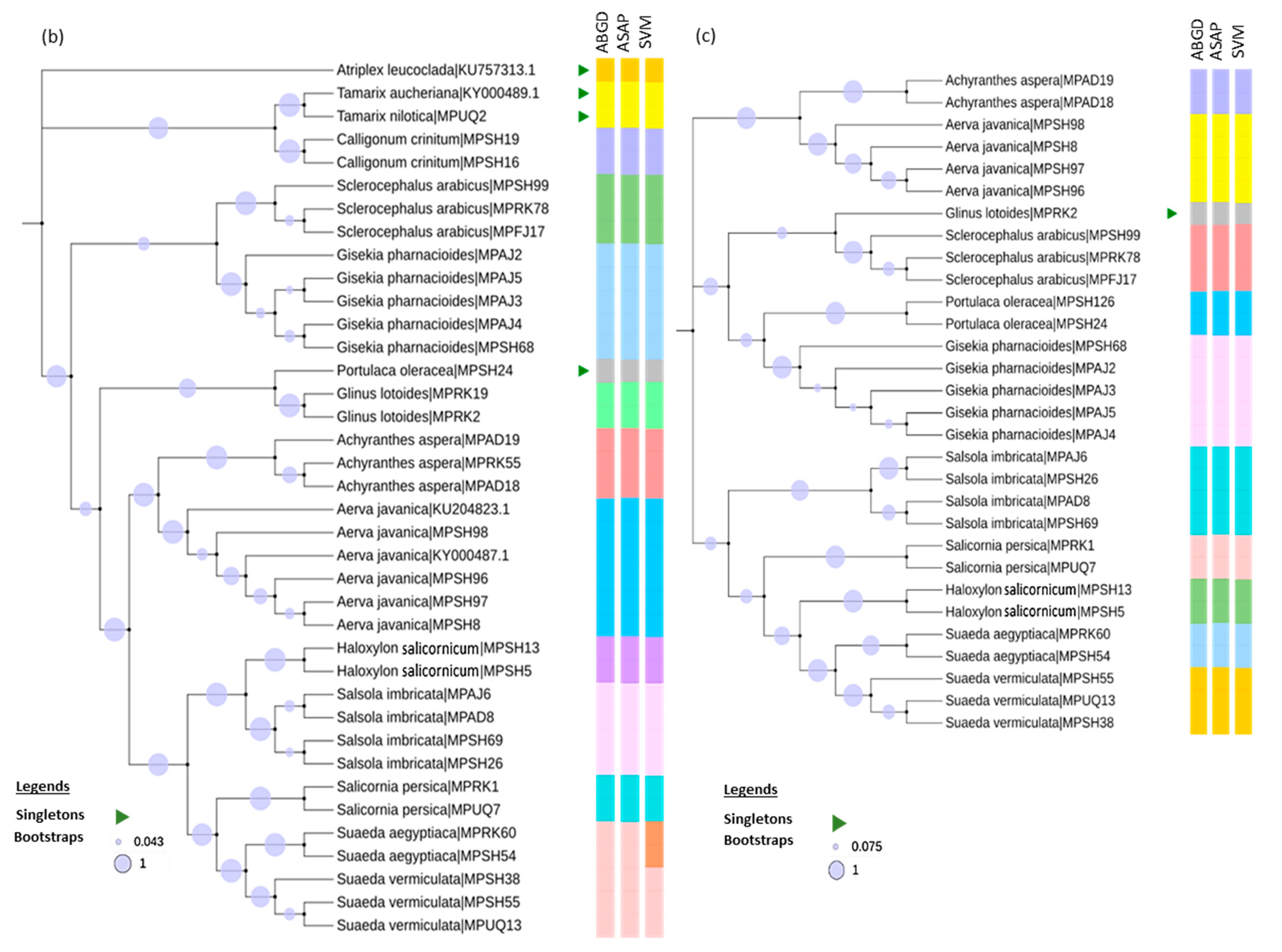 Diversity 14 00262 g003b