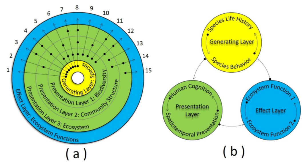 Diversity 14 00274 g001