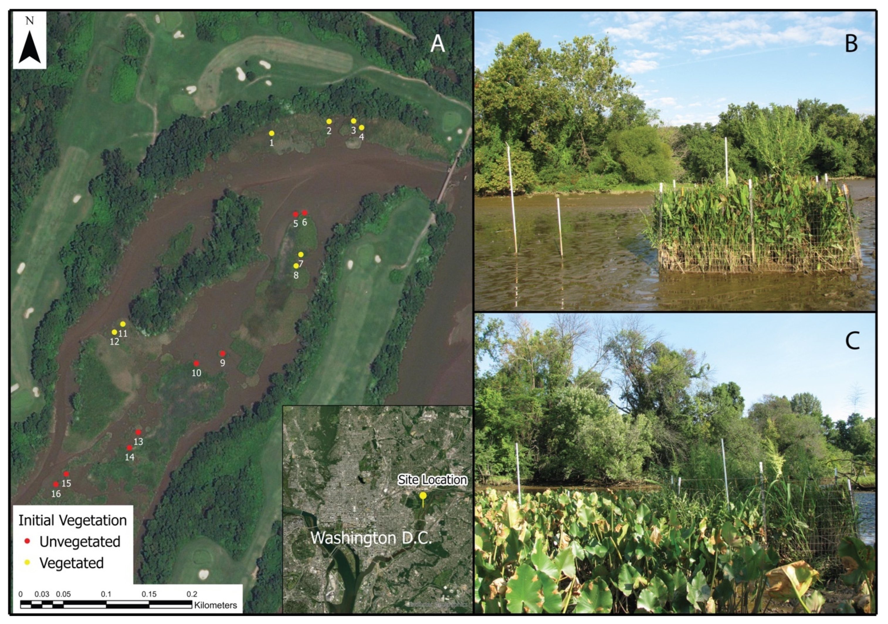 Diversity 14 00278 g001