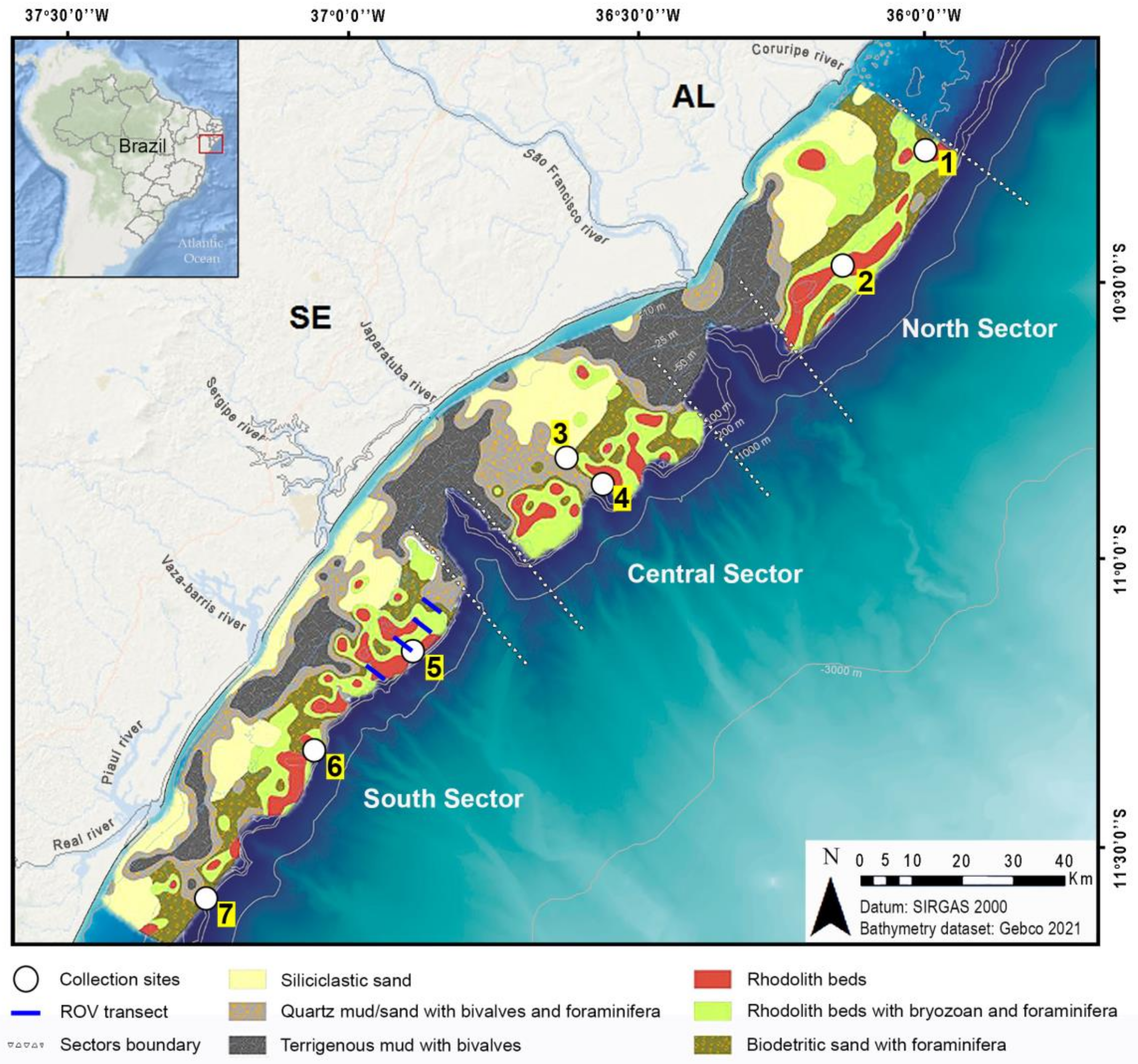 Diversity 14 00282 g001