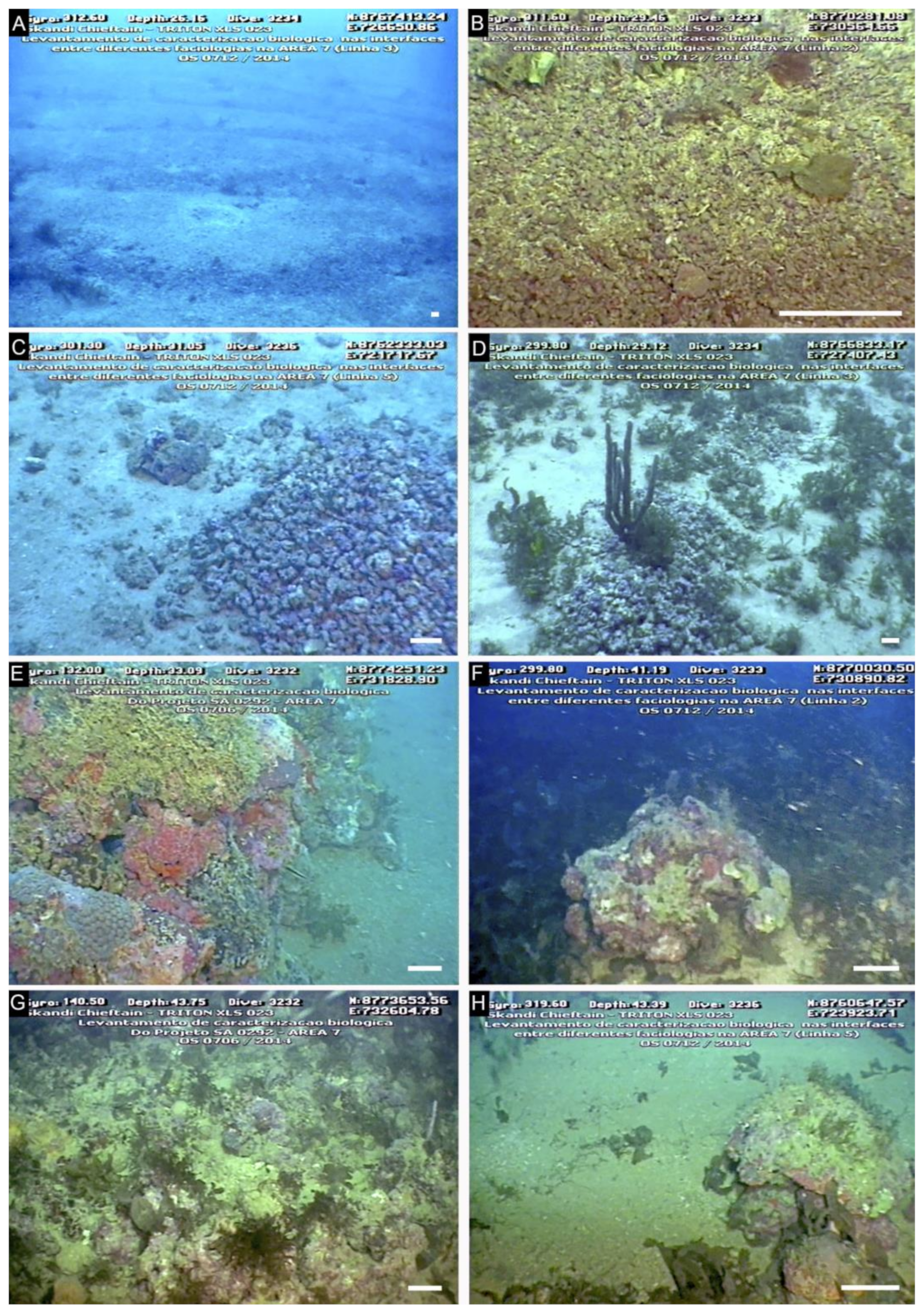 Diversity 14 00282 g002