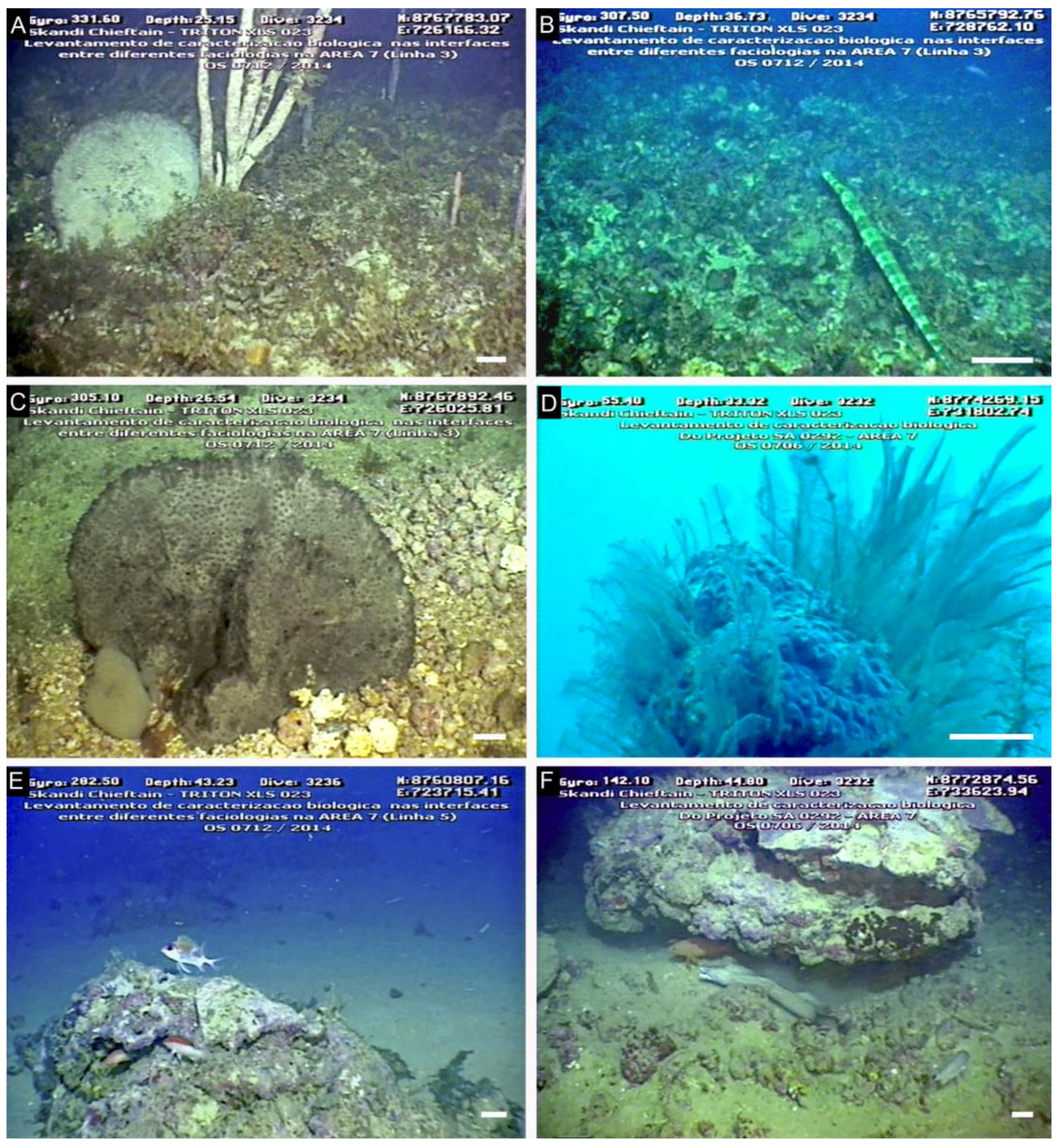 Diversity 14 00282 g003