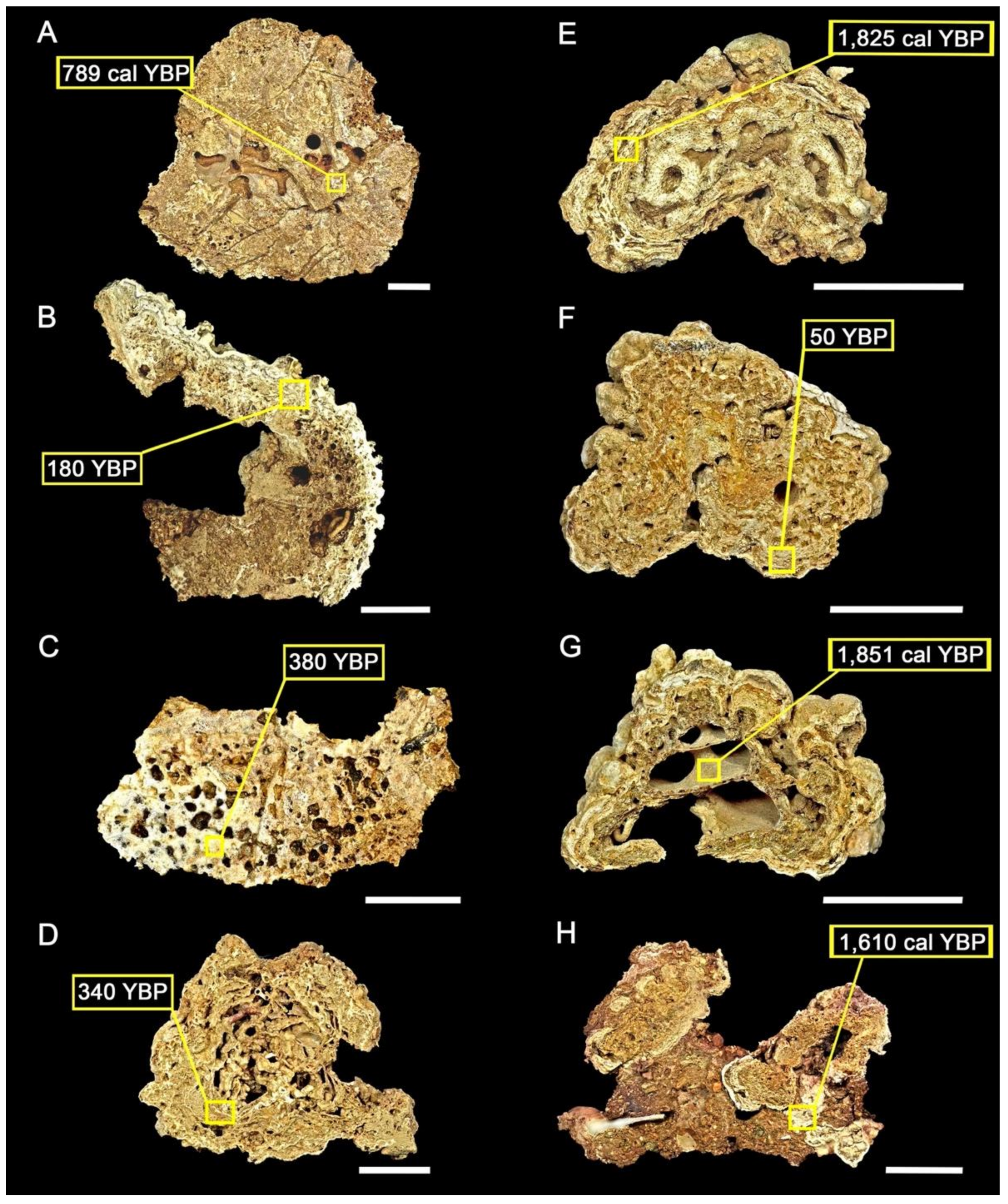 Diversity 14 00282 g007