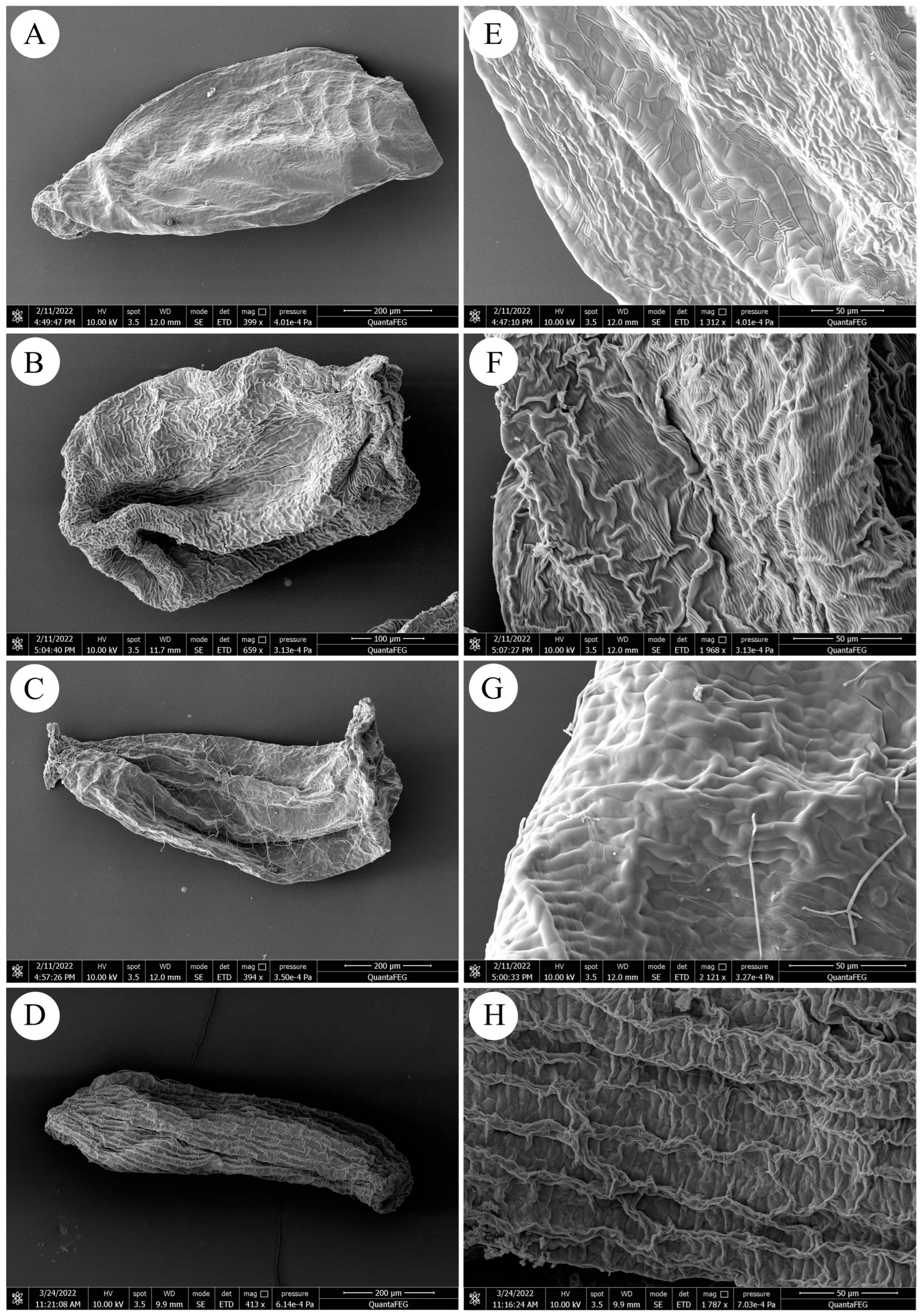 Diversity 14 00289 g002
