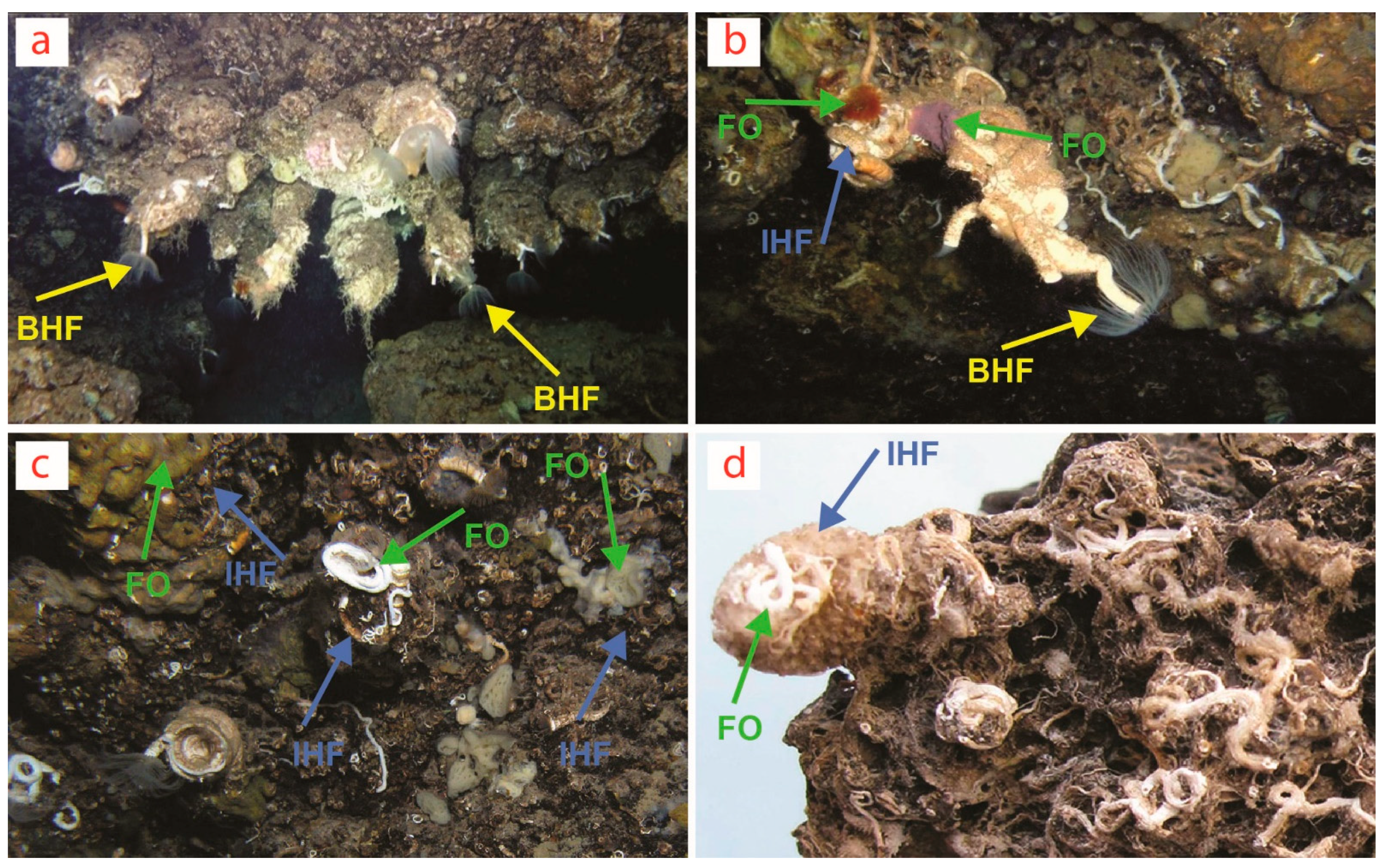 Diversity 14 00290 g002