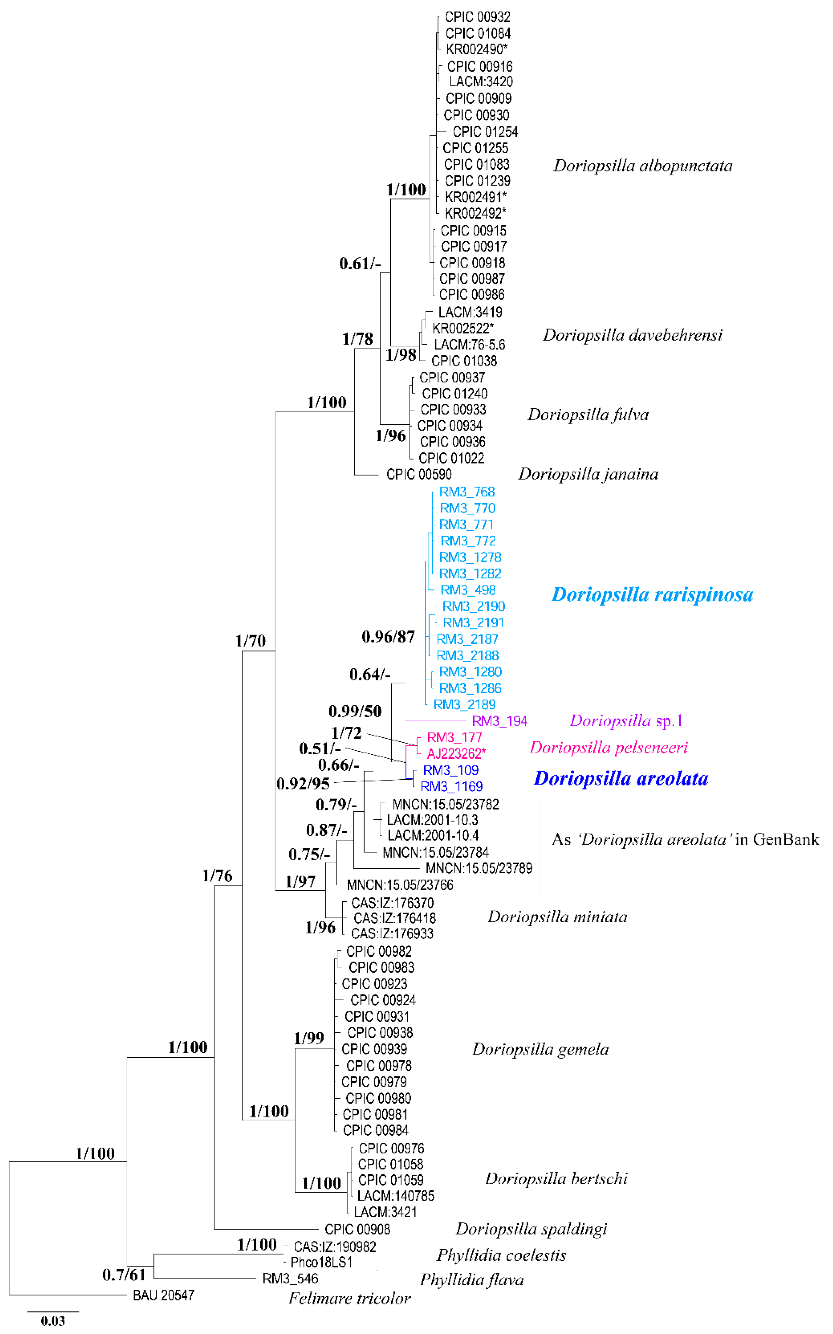 Diversity 14 00297 g002 Diversity 14 00297 g002