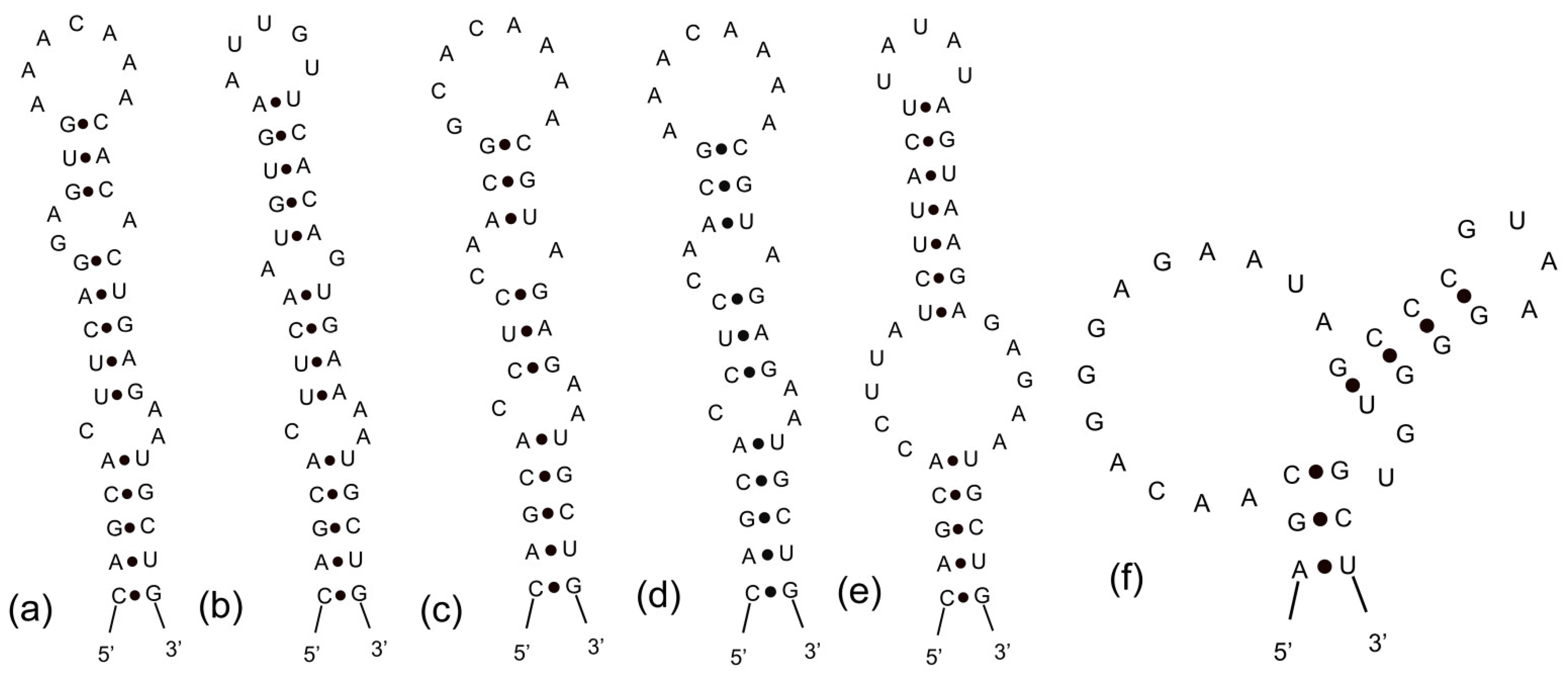 Diversity 14 00301 g007