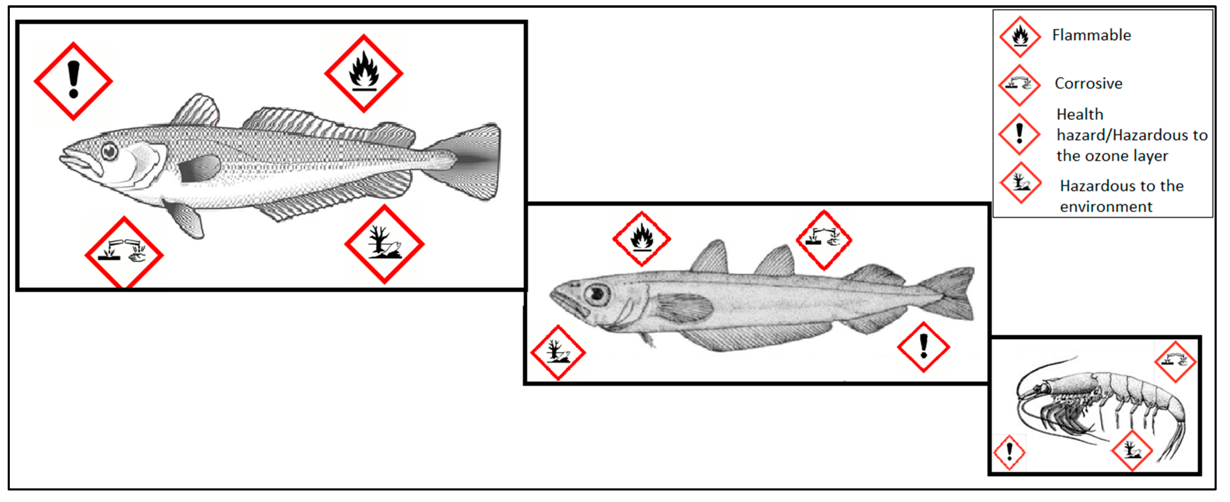 Diversity 14 00308 g002
