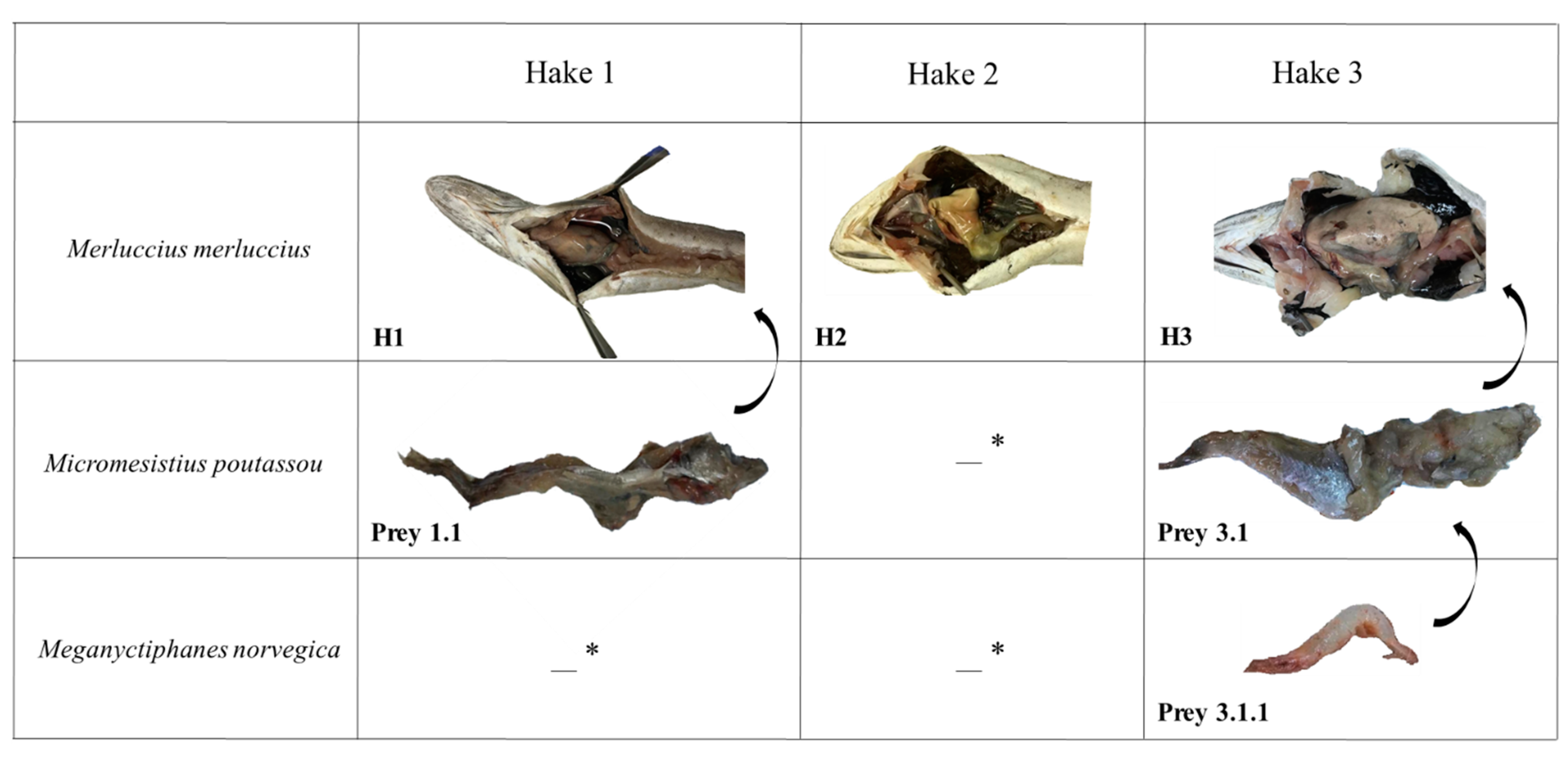 Diversity 14 00308 g003