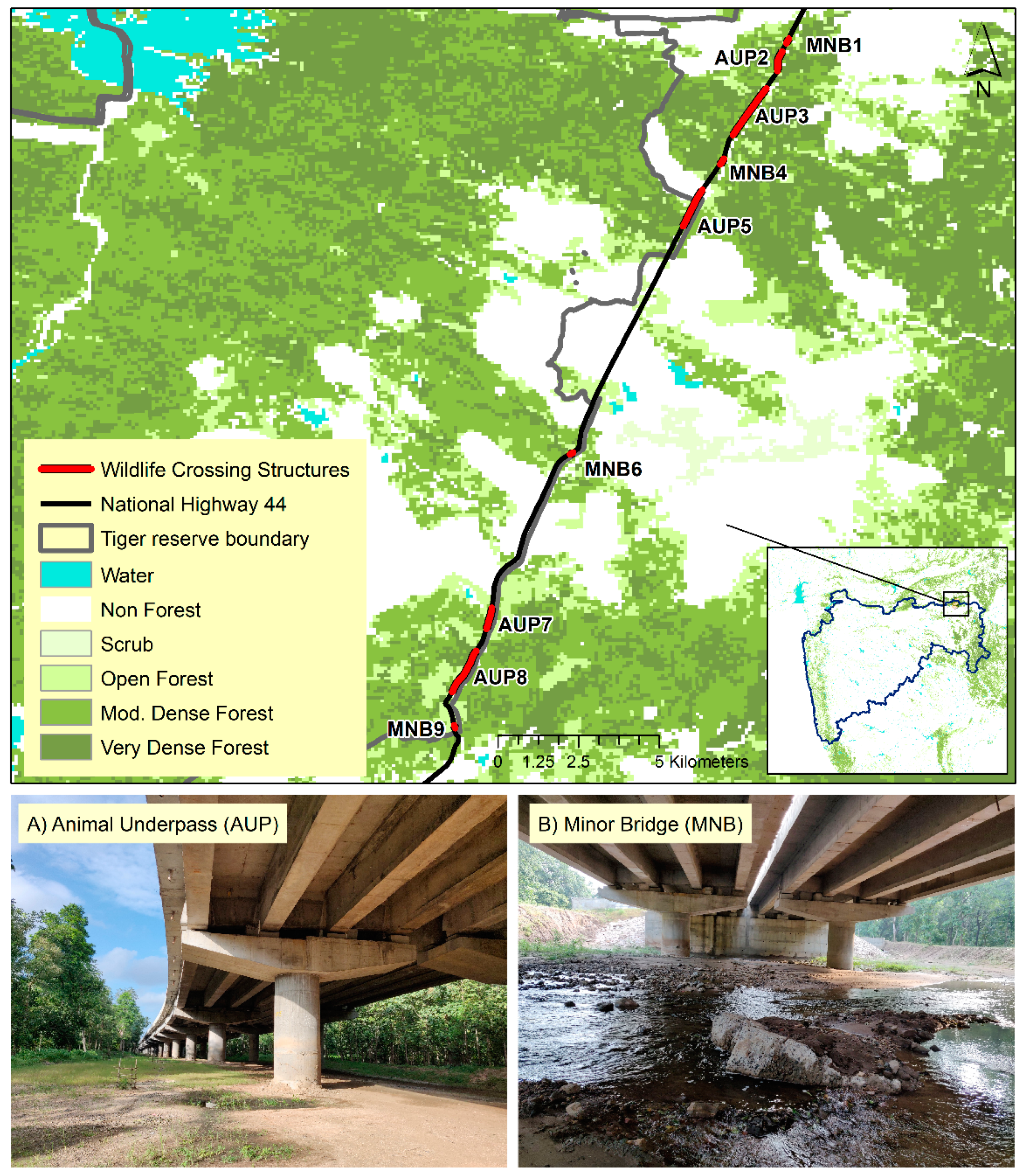 Diversity 14 00312 g001