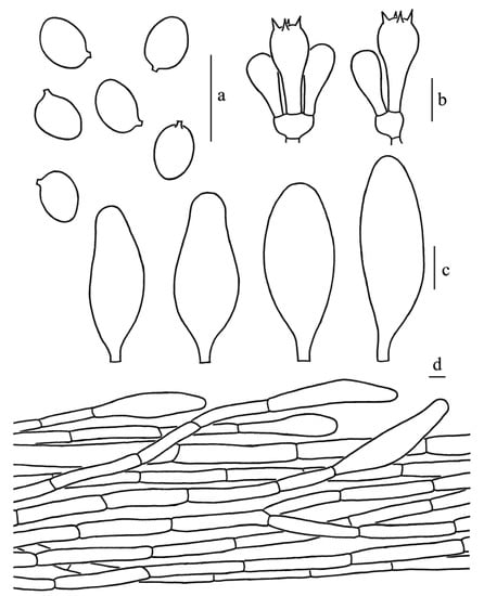 Diversity 14 00314 g003 550