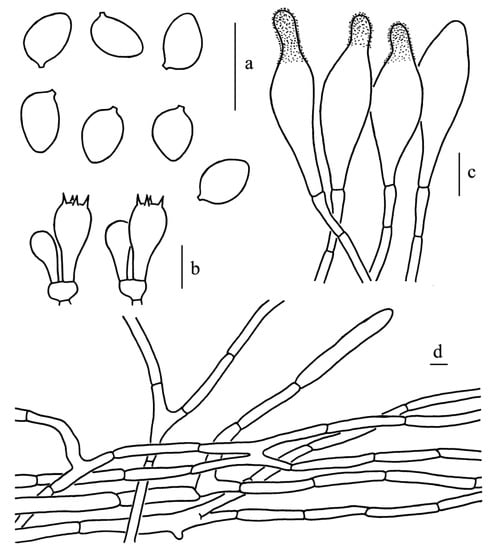 Diversity 14 00314 g007 550