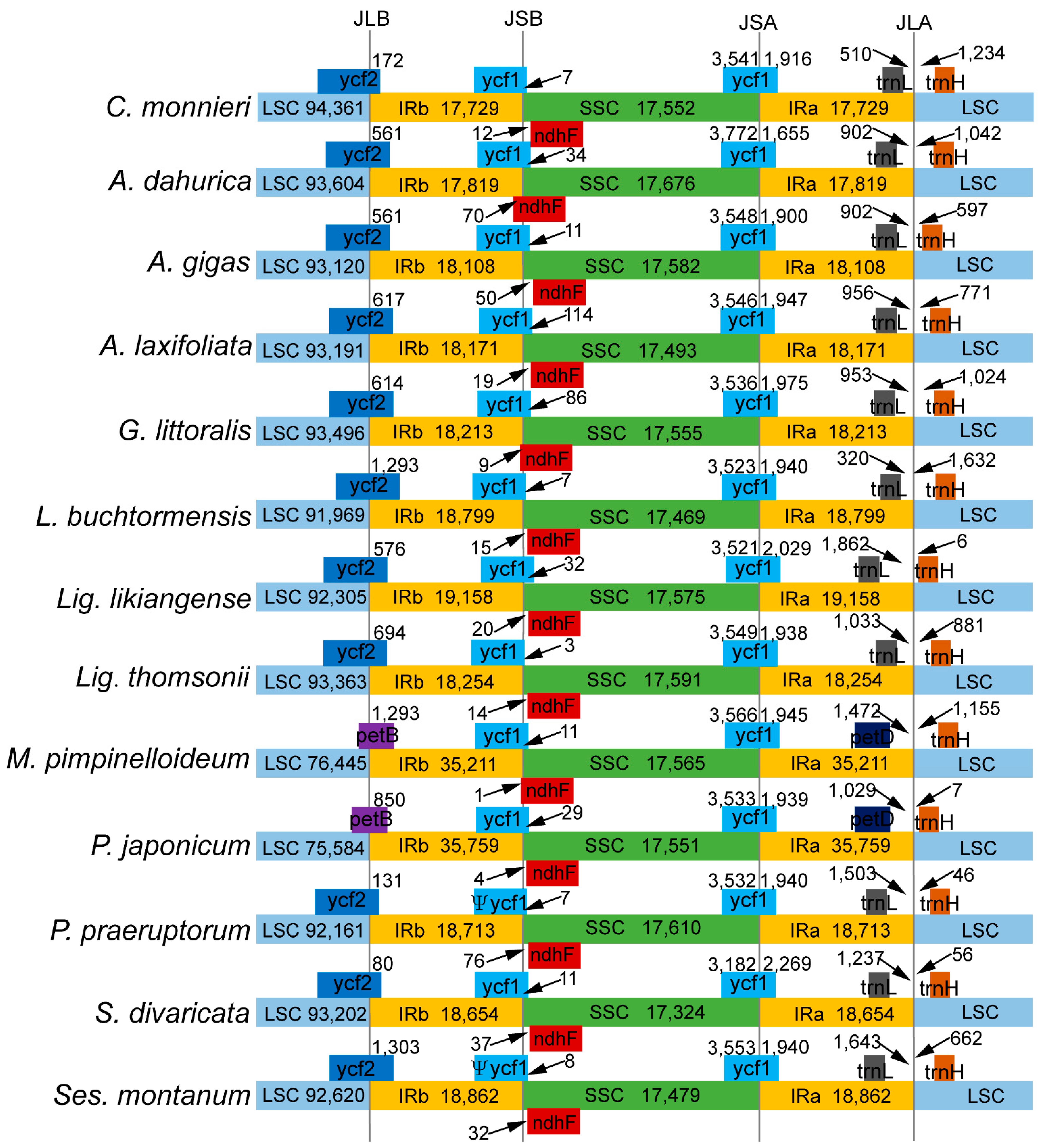 Diversity 14 00323 g004 Diversity 14 00323 g004
